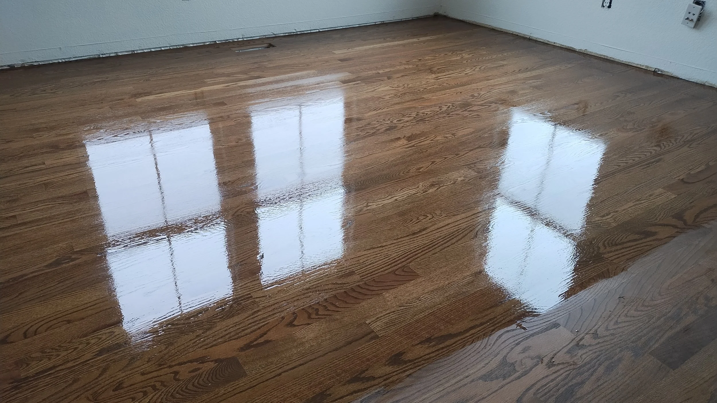 Recently polished hardwood floor reflecting windows and a nearby wall outlet.
