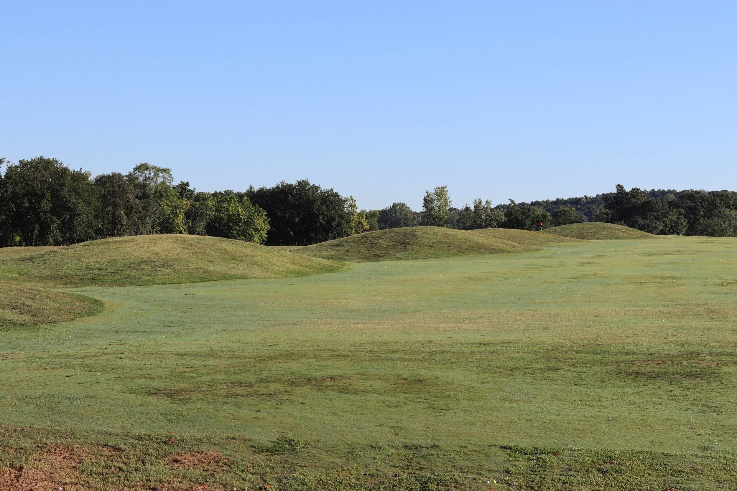 Greenery and open landscape of a golf course in the Washington, DC metropolitan area.