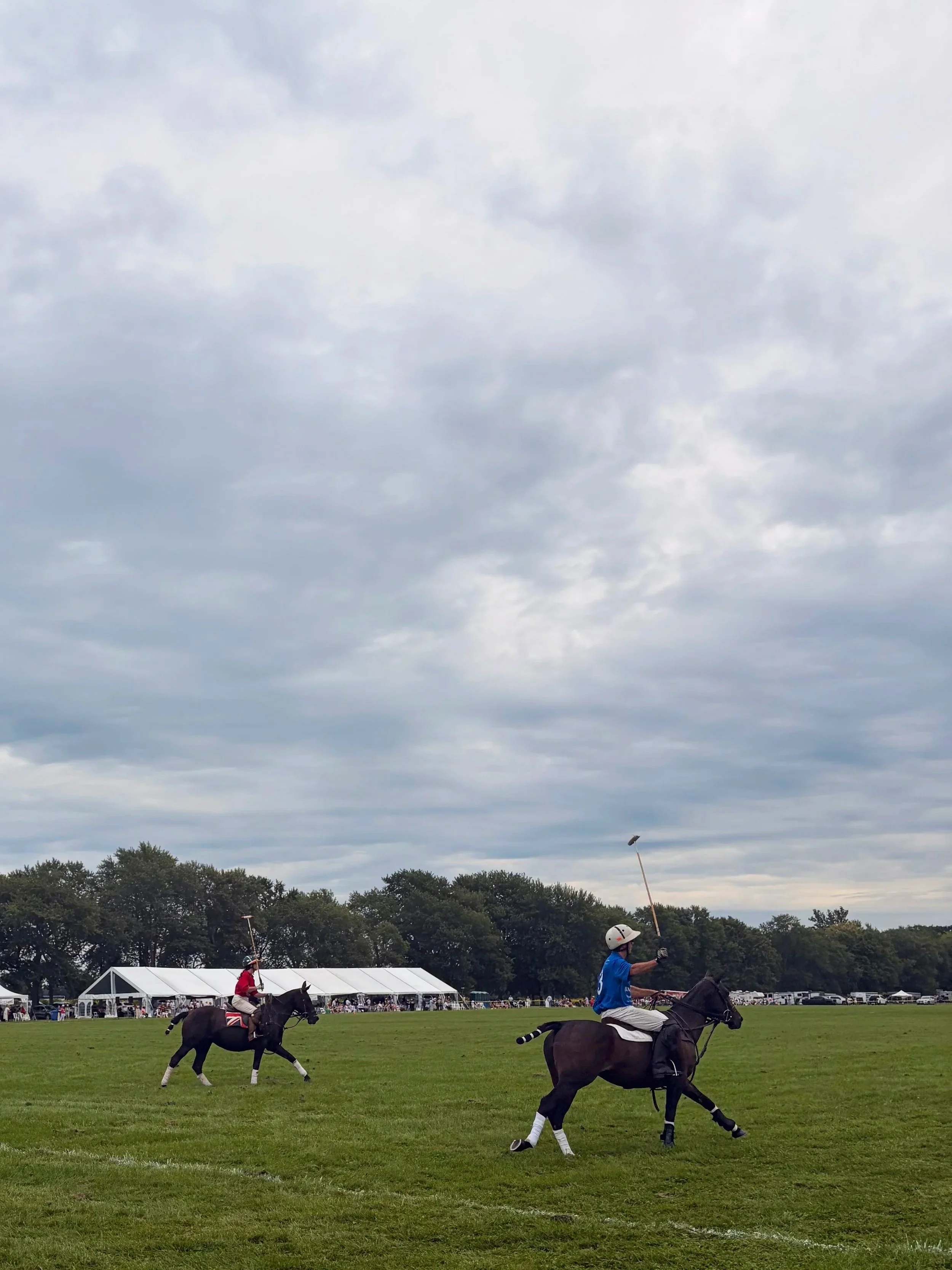 Polo by the vineyards