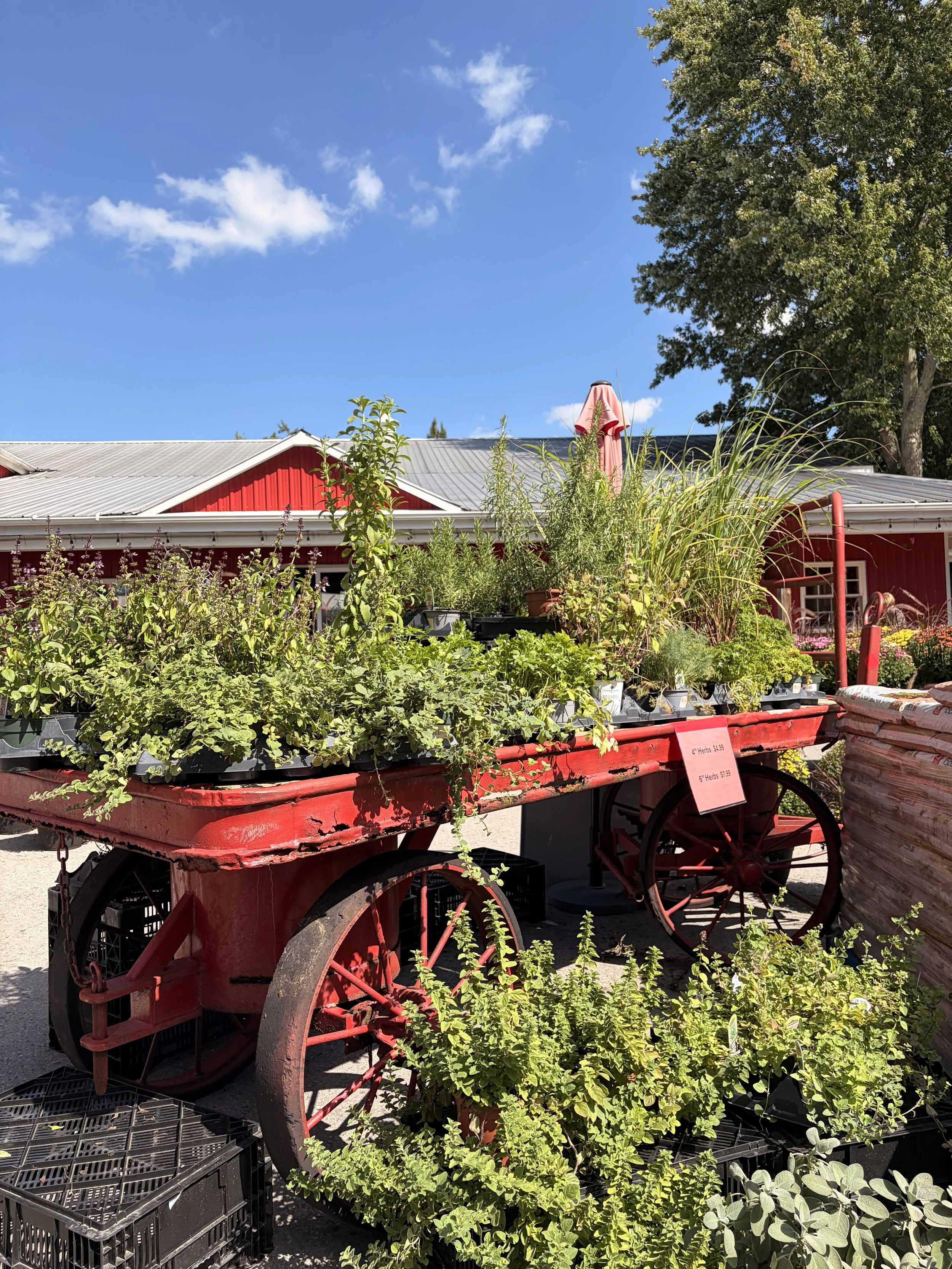 A ramble through Pelham &amp; Lincoln