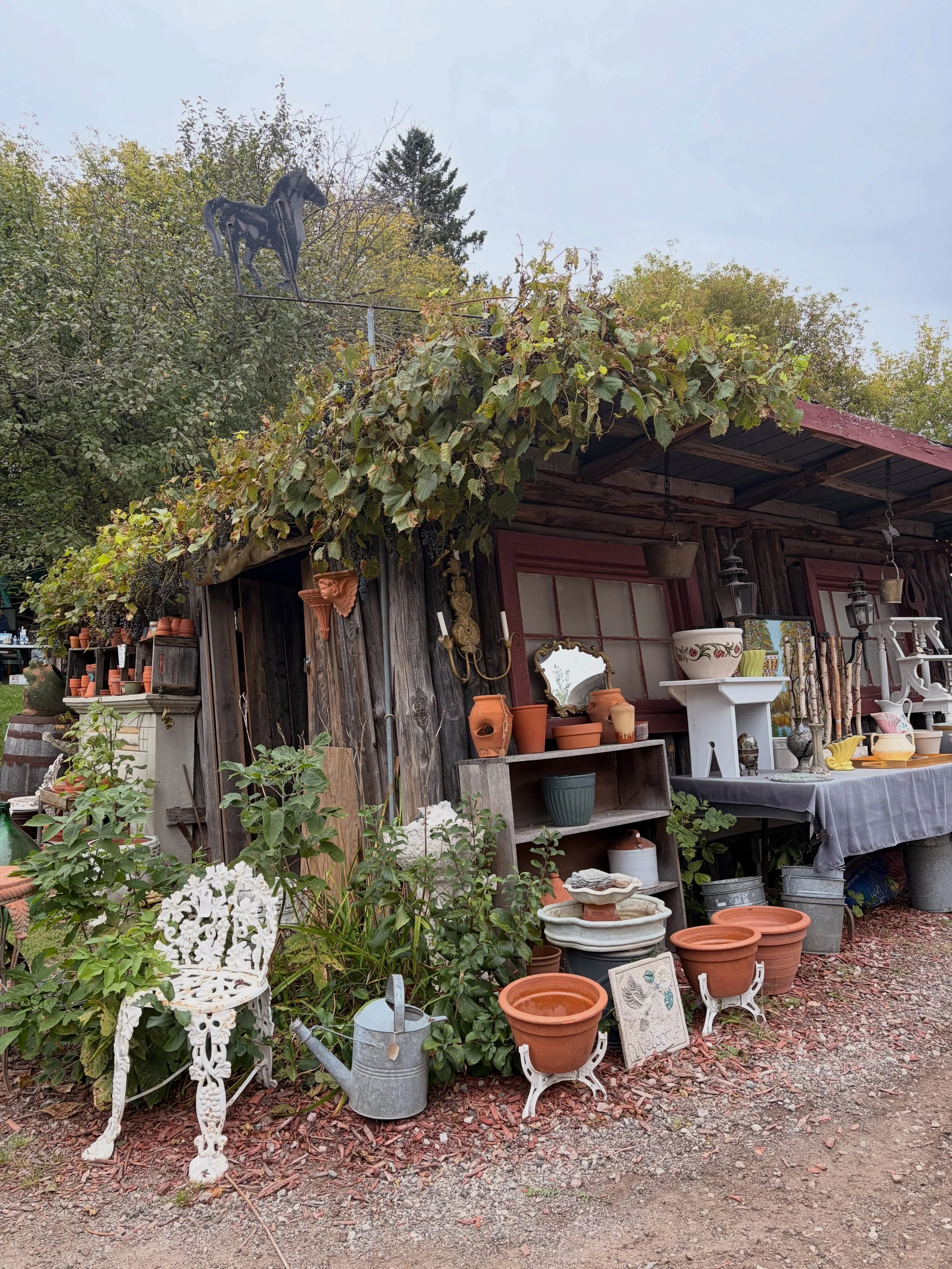 Unique spaces throughout Aberfoyle Antique Market.