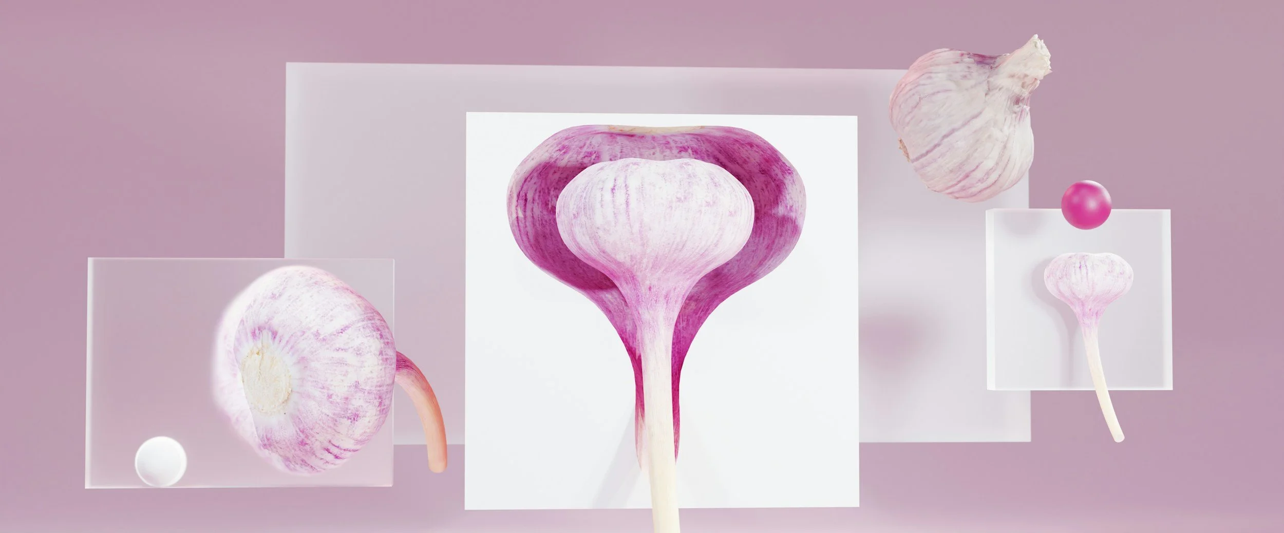 “Liminal Femininities: The social role of hormone medicine in menopausal and gender transitions.”