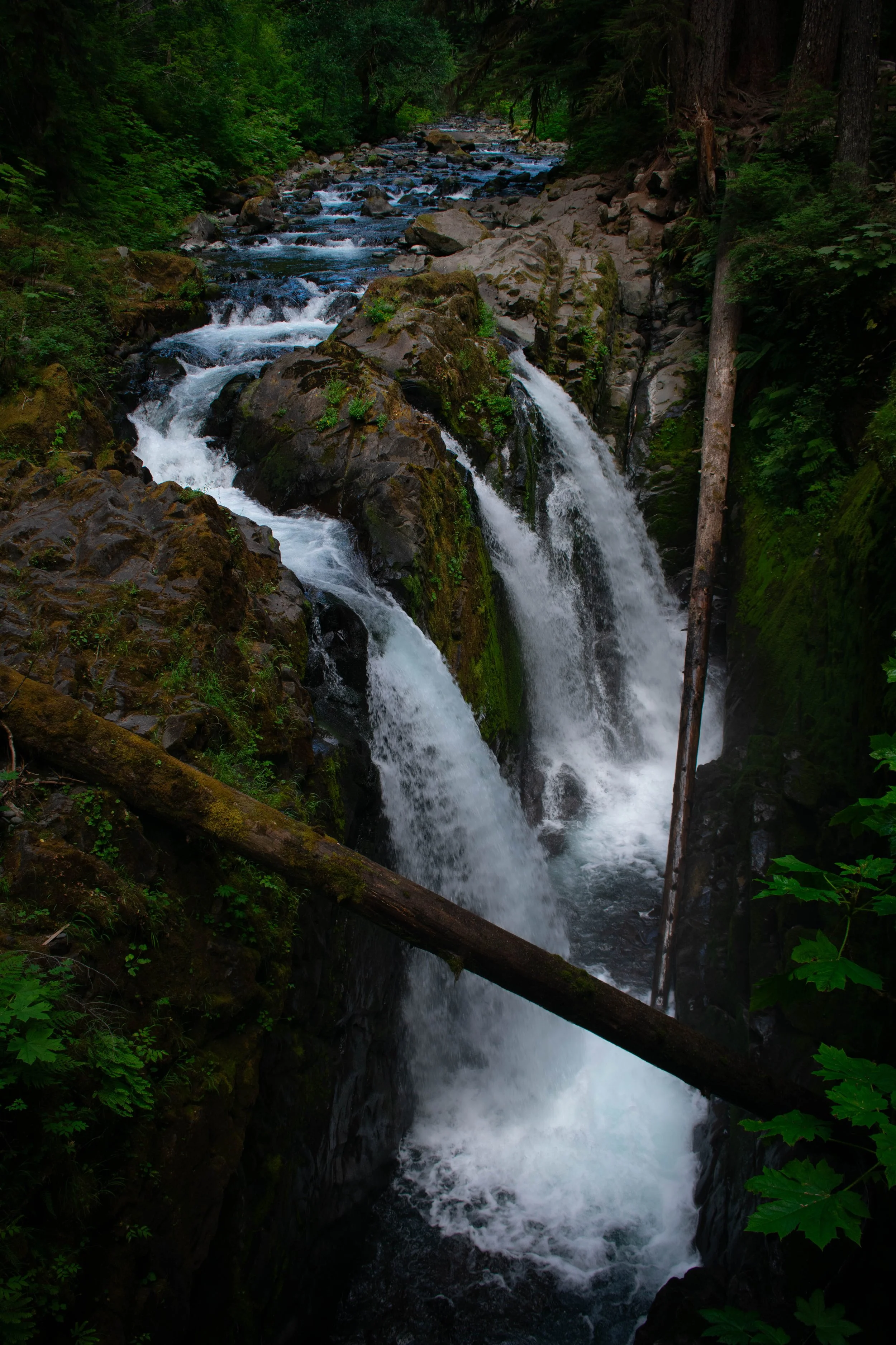 A waterfall flowing through a rocky stream in a dense forest, with green foliage on either side.