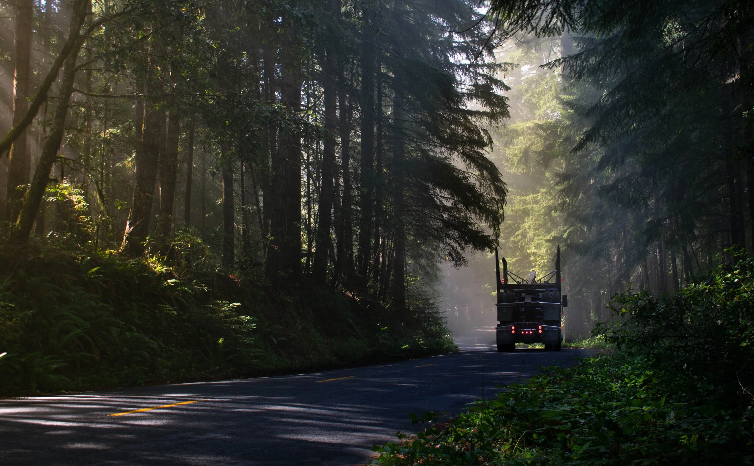 A truck driving on a winding forest road with lush green trees, sunlight filtering through the canopy, and mist in the background.