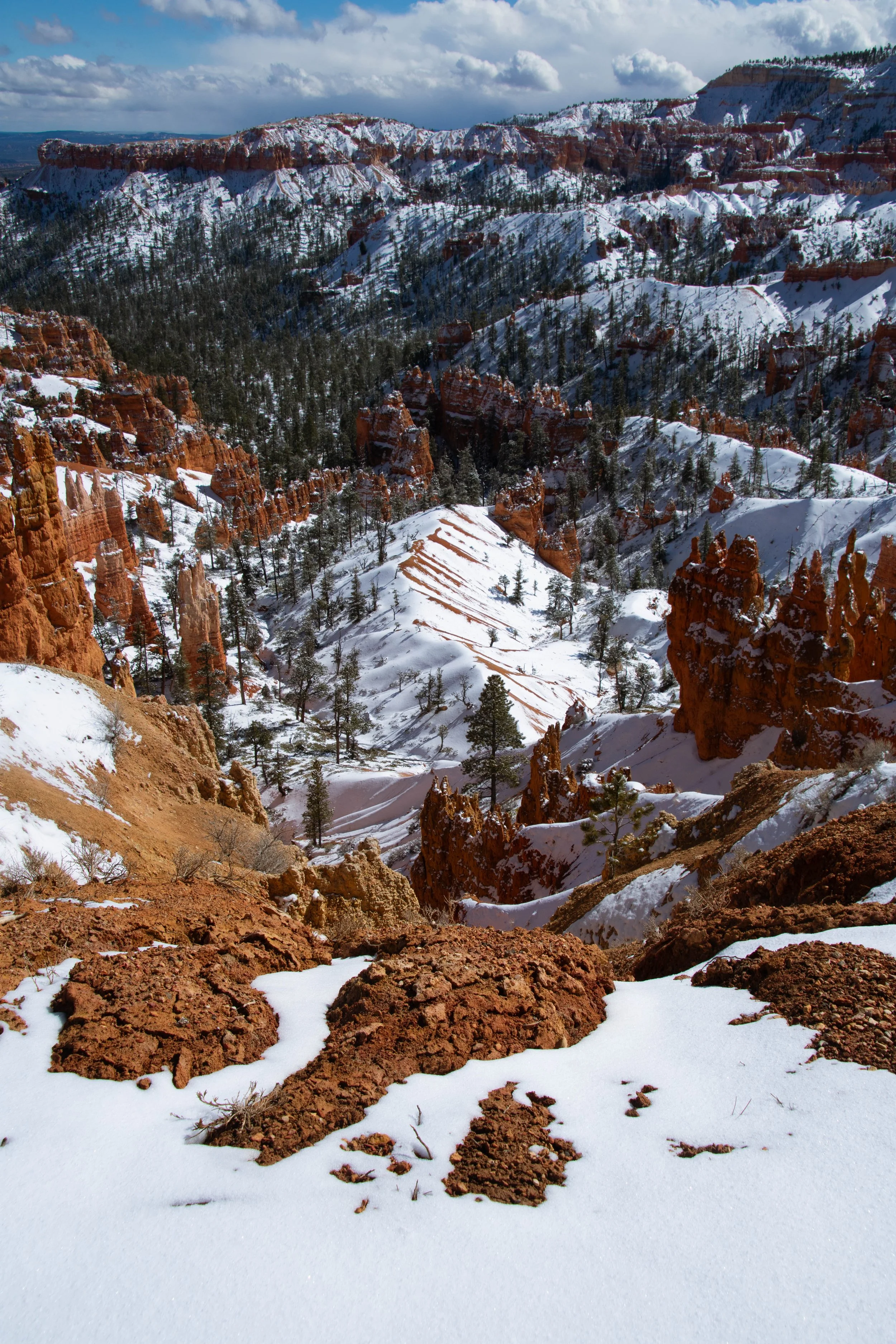 Snow-covered canyon with reddish rocks and scattered pine trees under a cloudy sky.