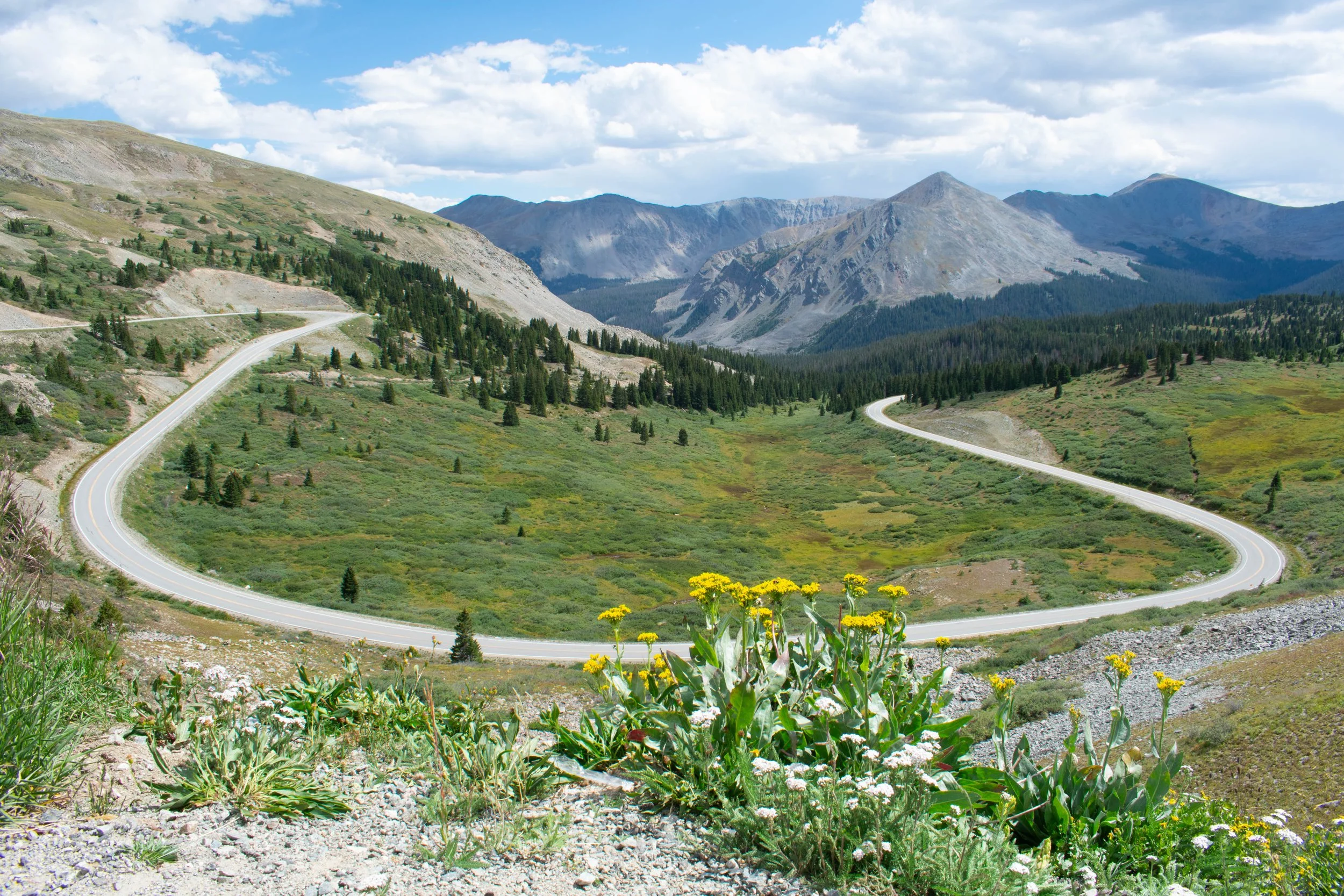 Winding mountain road through green hills with sparse trees, distant mountain range under a partly cloudy sky.