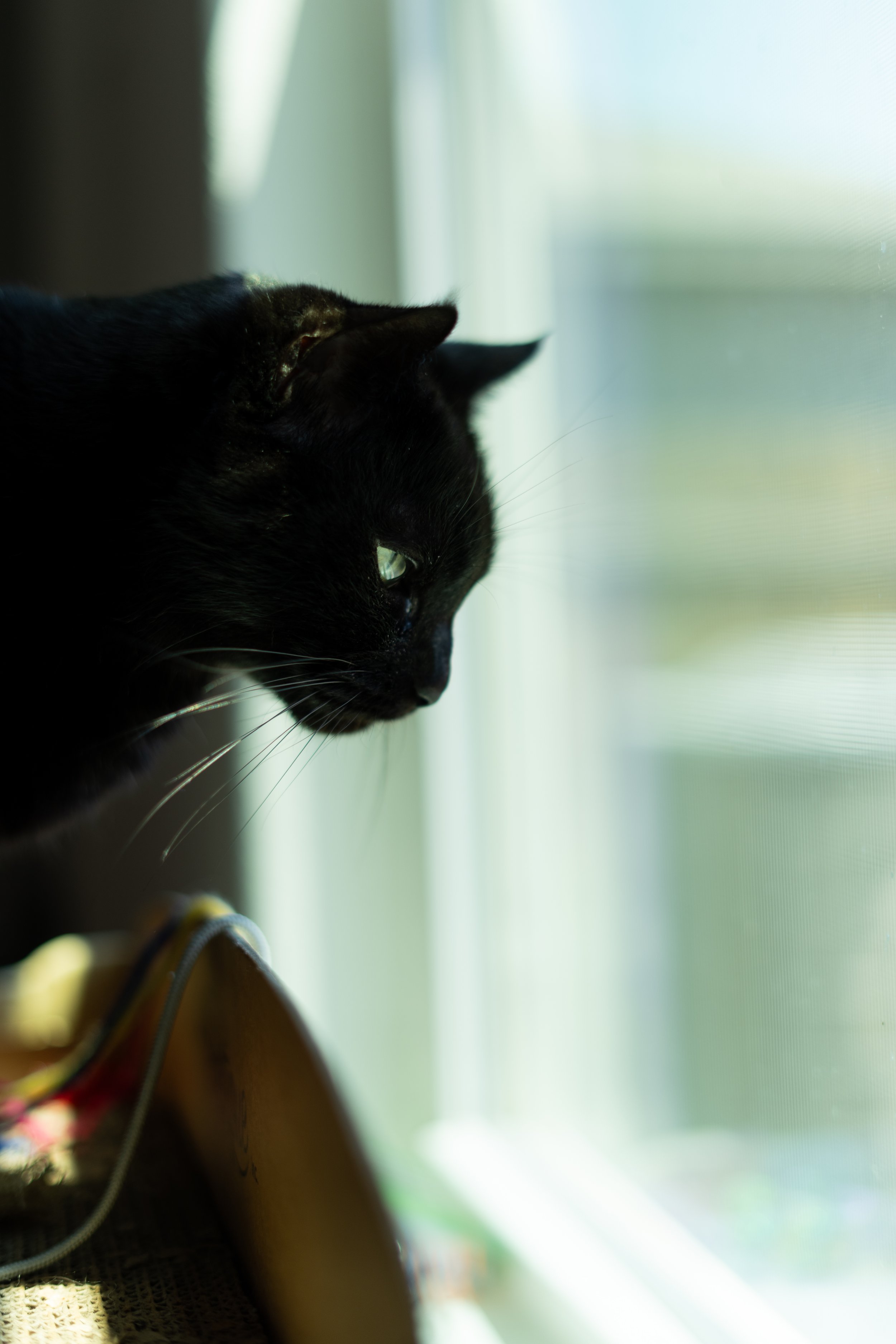 20260822-DSC02032.jpg