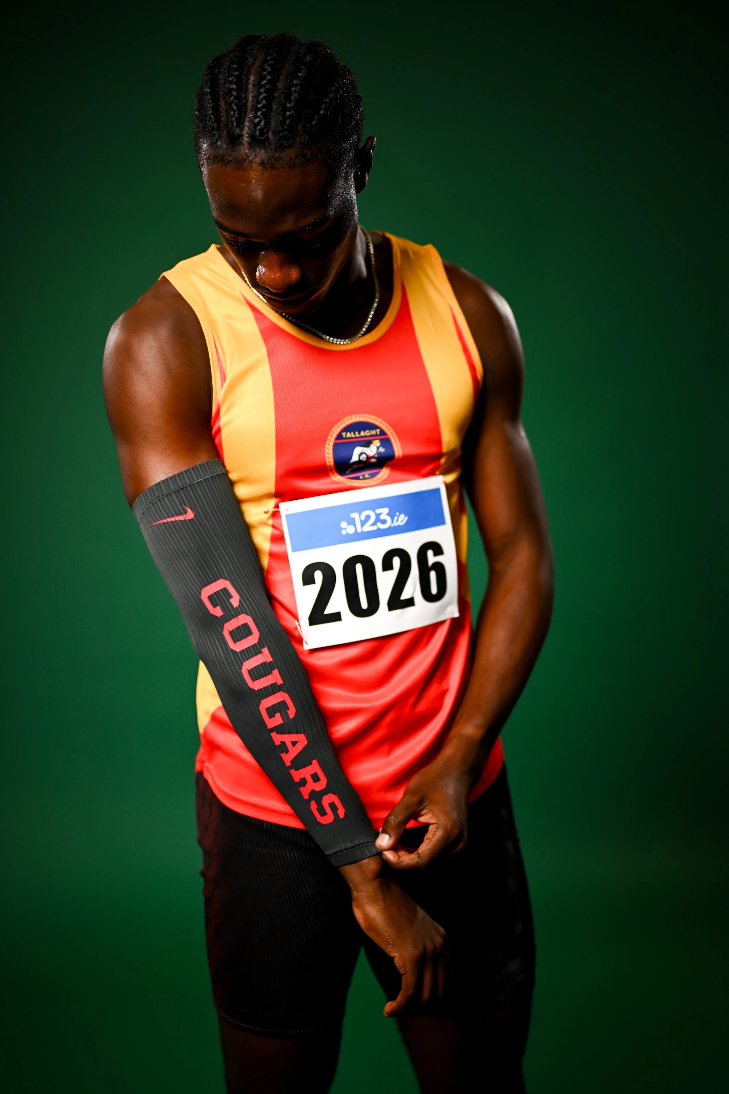 3518372.jpg