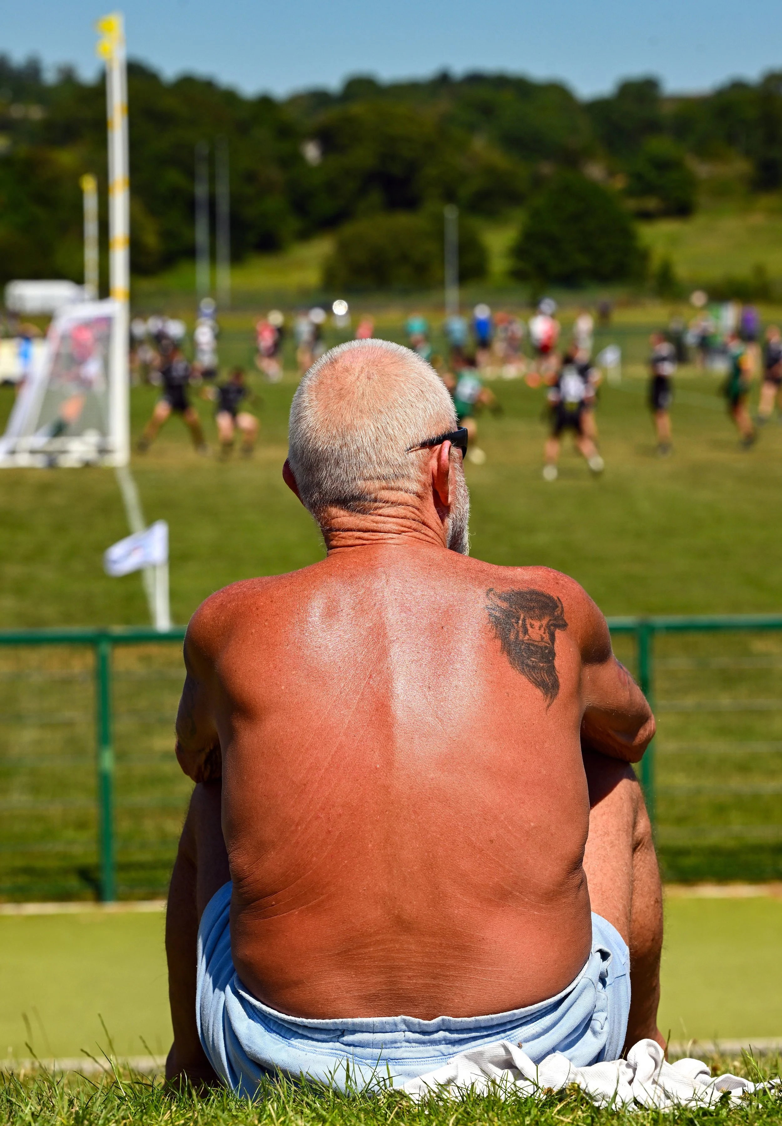 3510984.jpg