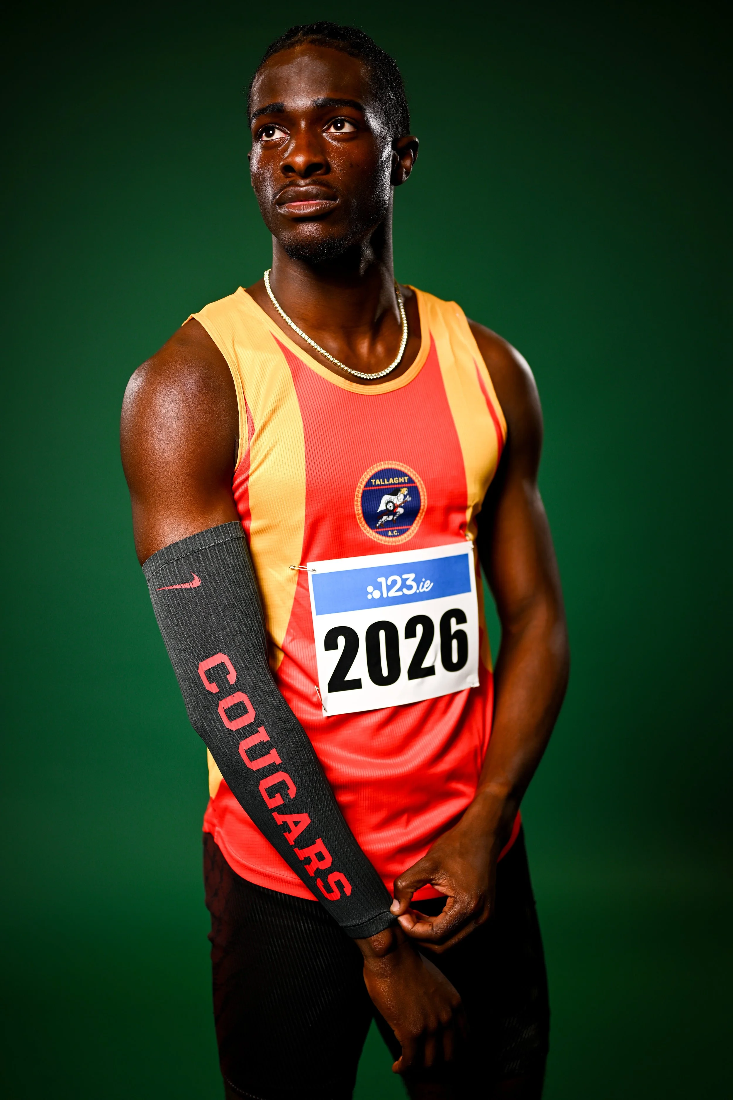 3518374.jpg