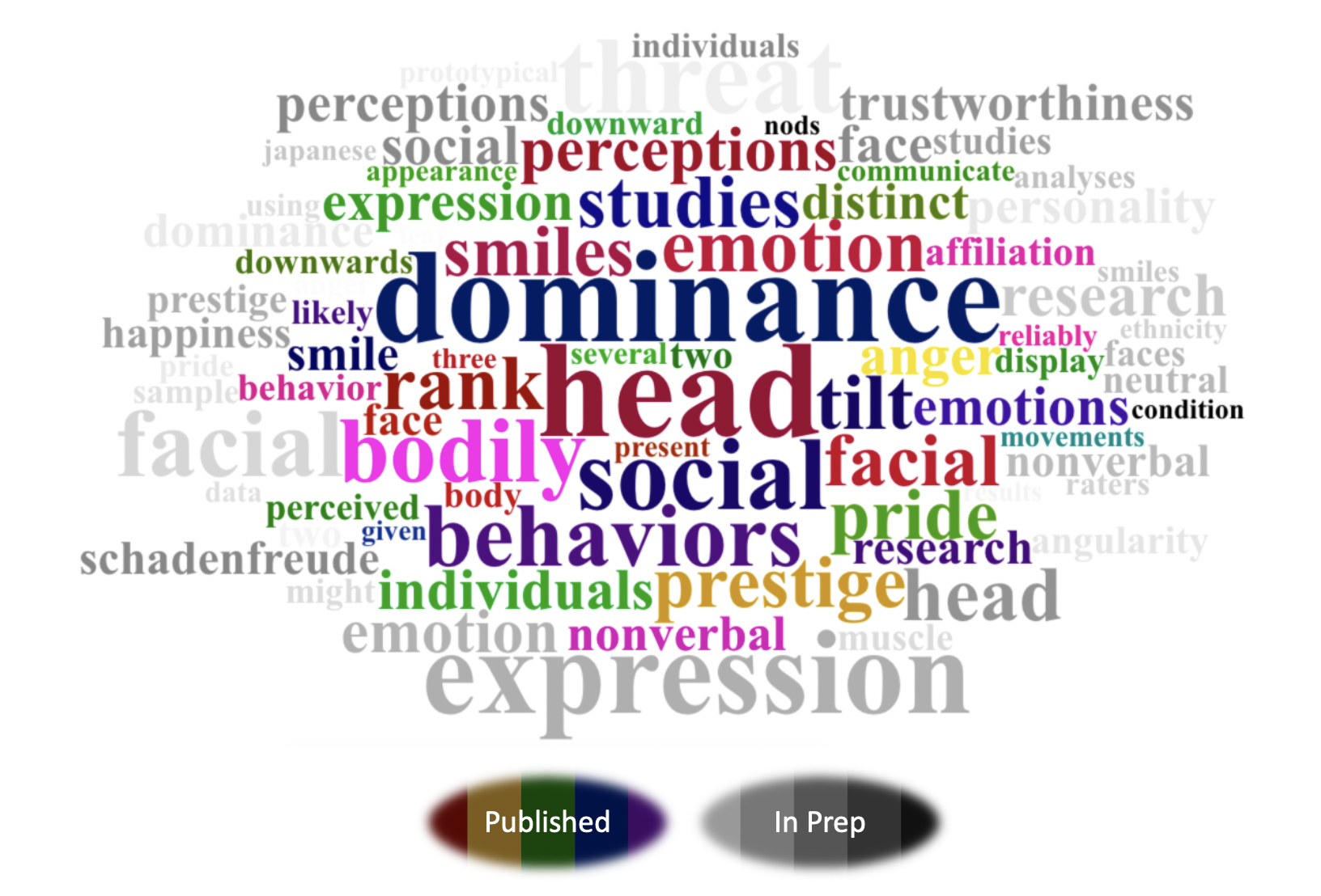 A colorful word cloud related to social perception, emotions, and behavior, featuring prominent words such as dominance, head, body, social, perceptions, emotions, and facial.