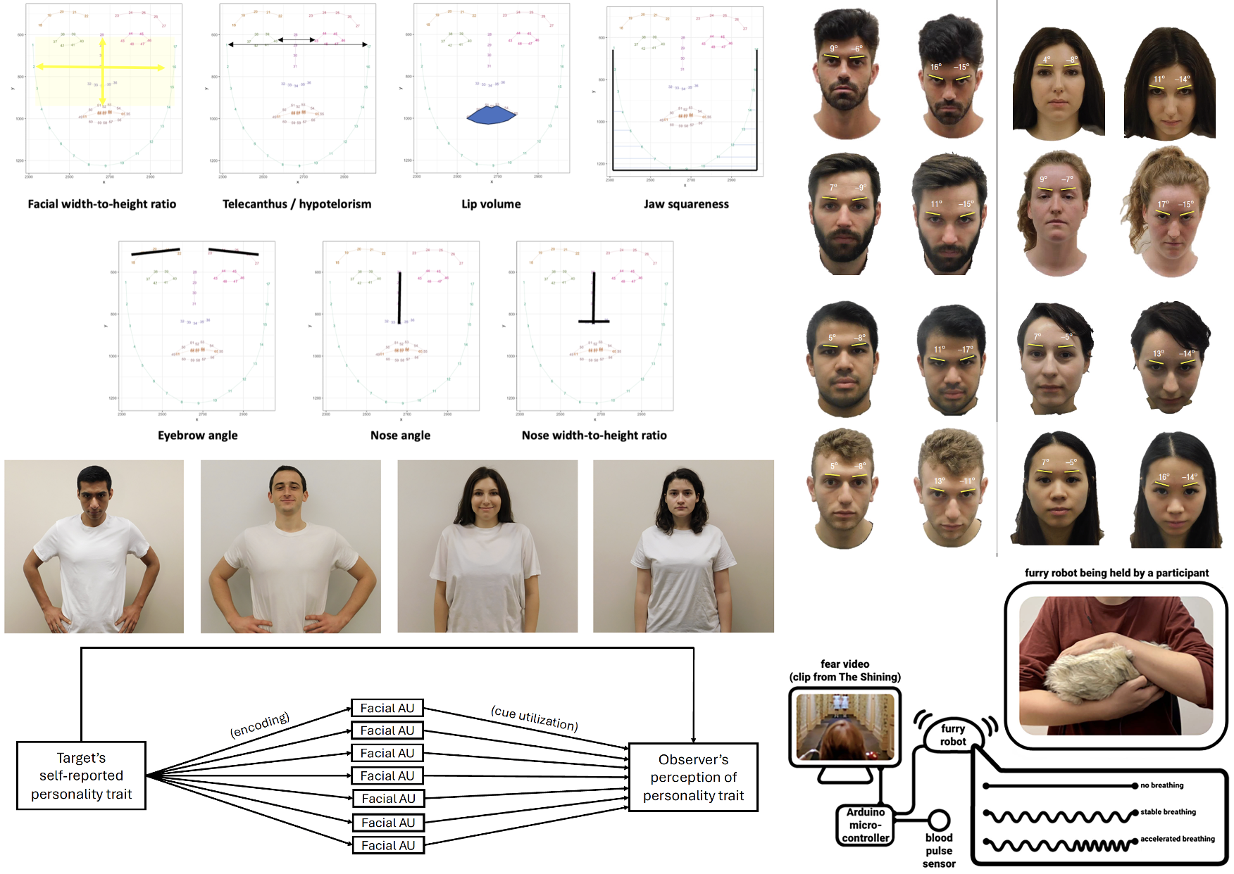 Infographic displaying facial analysis data, including facial width-to-height ratio, telecanthus/hypotelorism, lip volume, jaw squareness, eyebrow angle, nose angle, and nose width-to-height ratio, with images of different individuals showing facial measurements and expressions.
