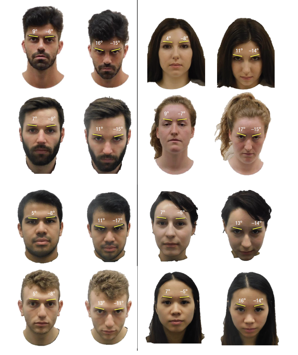 A grid of twenty faces showing different head tilt measurements with yellow lines and degree labels indicating each person's head position.