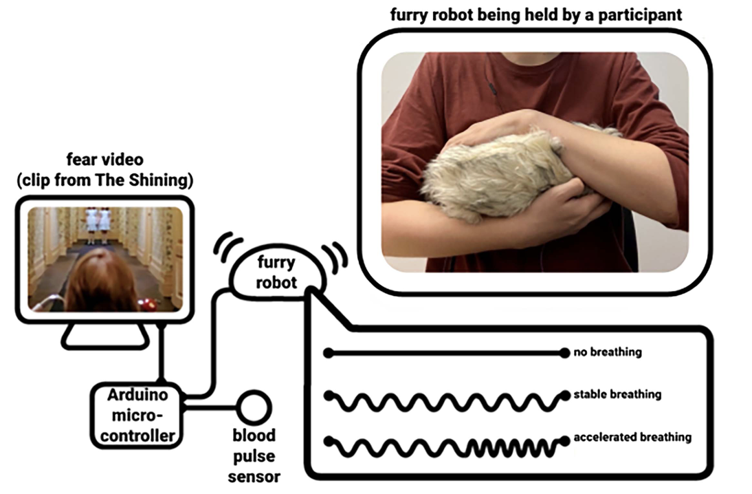 Diagram showing a person holding a furry robot designed to simulate animals for emotional support, with a video clip from The Shining used as a fear stimulus, connected to an Arduino microcontroller and blood pulse sensor to control the robot's breathing patterns indicating different states: no breathing, stable breathing, and accelerated breathing.