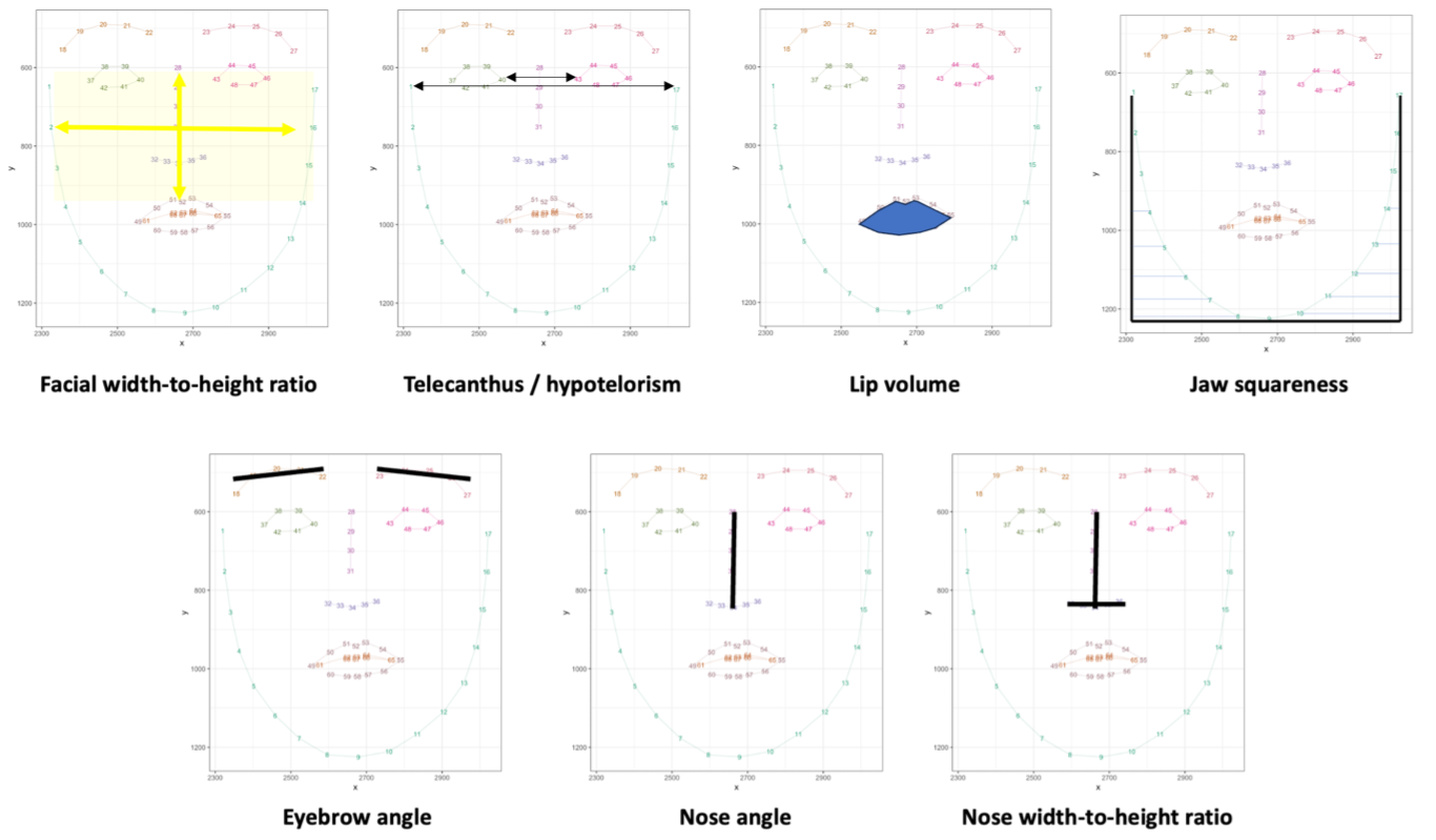 Diagram of facial measurements including facial width-to-height ratio, telecanthus/hypotelorism, lip volume, jaw squareness, eyebrow angle, nose angle, and nose width-to-height ratio, with each measurement represented by different graphs.