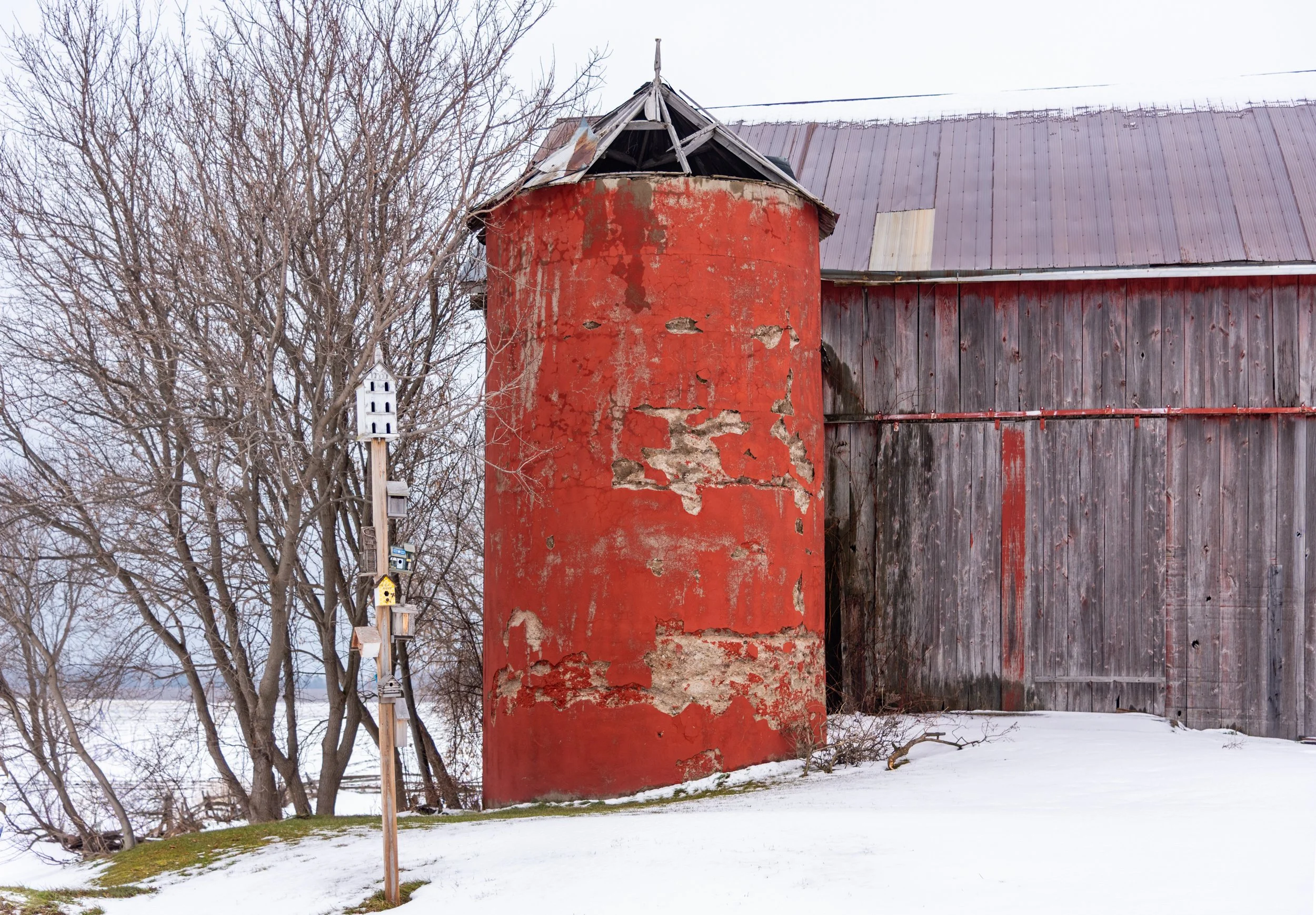 20211210-_DSC7892.jpg