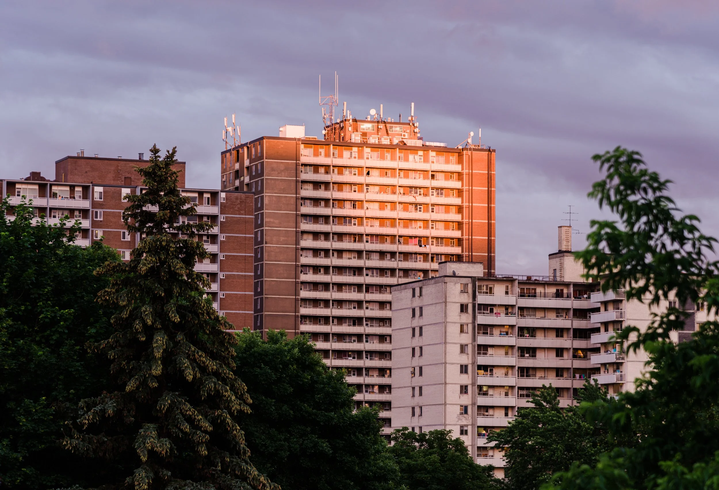 20170623-DSC_0764.jpg