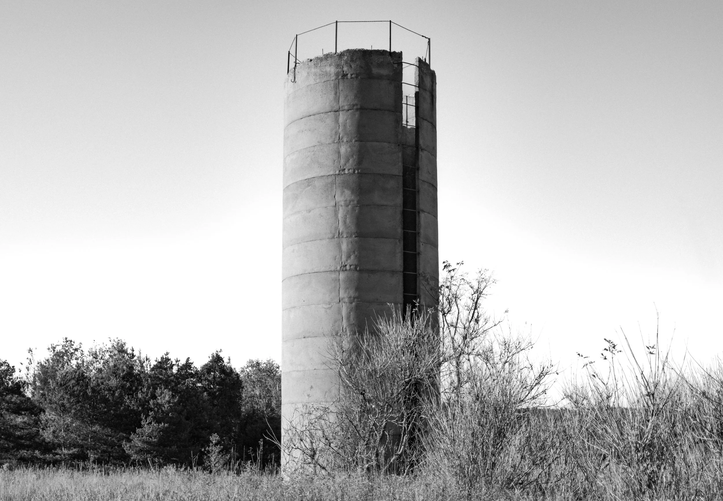 20201011-_DSC7201.jpg