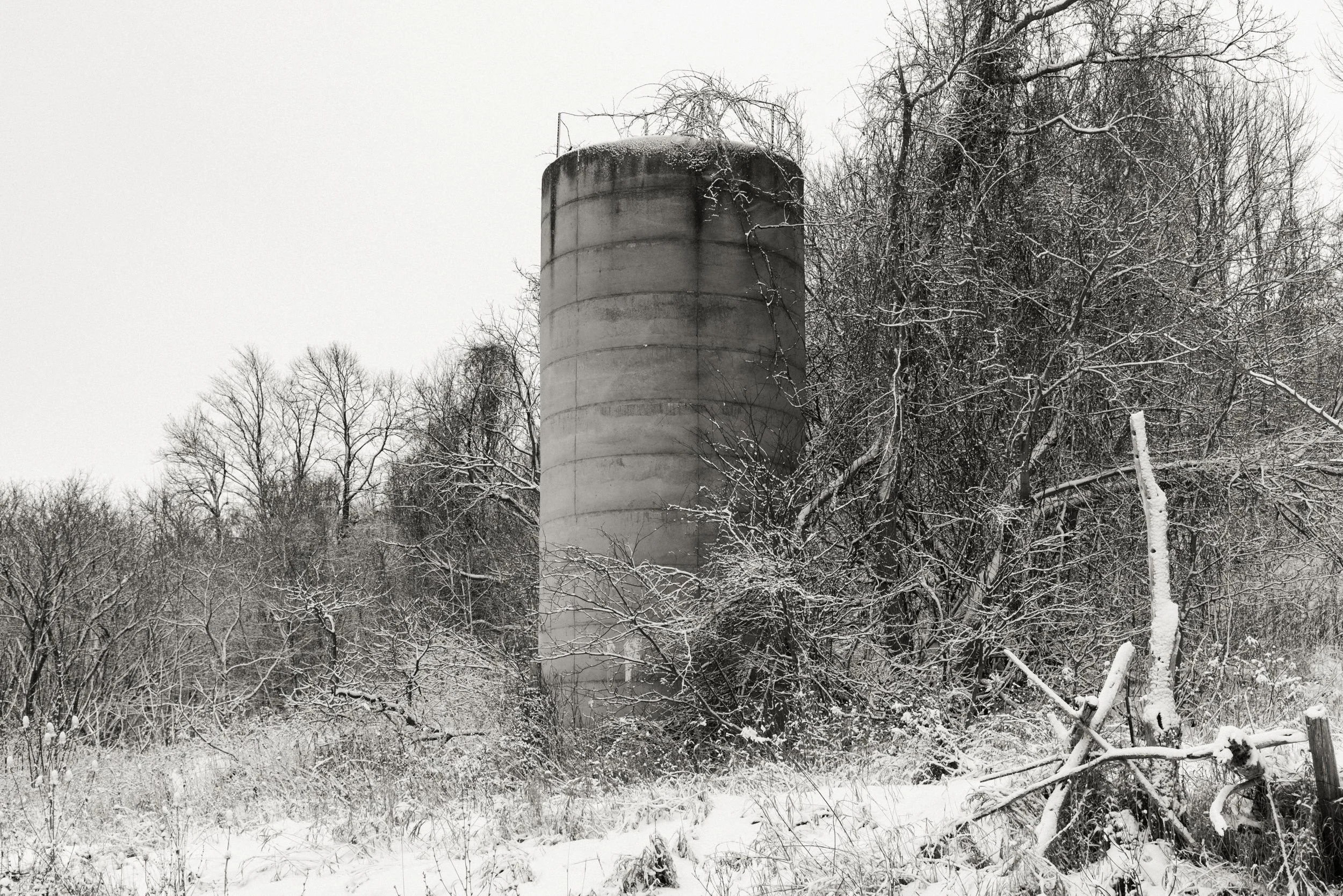 20240112-_DSC2133.jpg