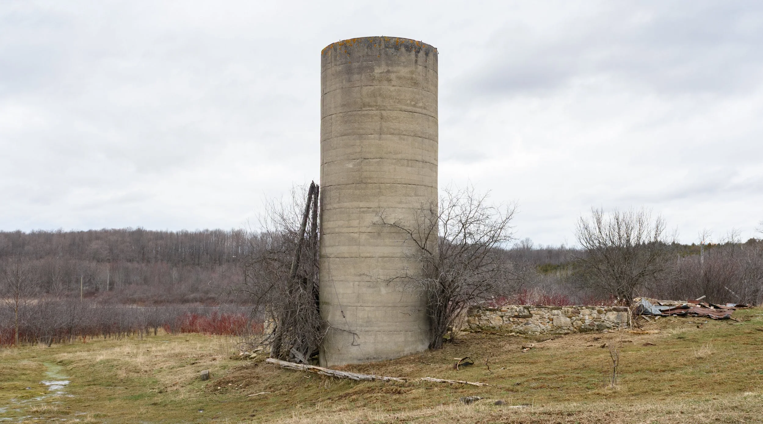 20131231-_DSC2579.jpg