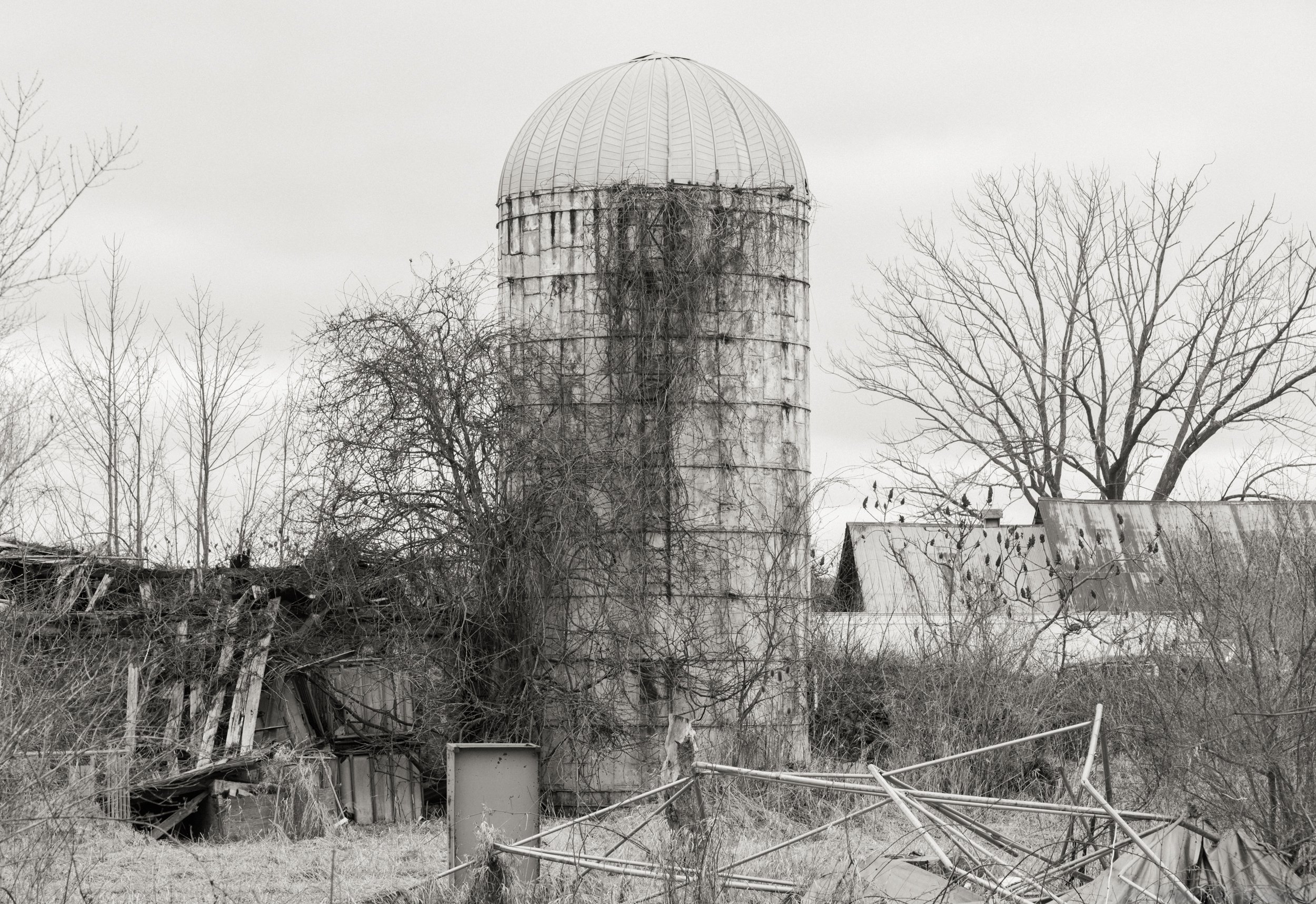 20240315-_DSC2171-245.jpg