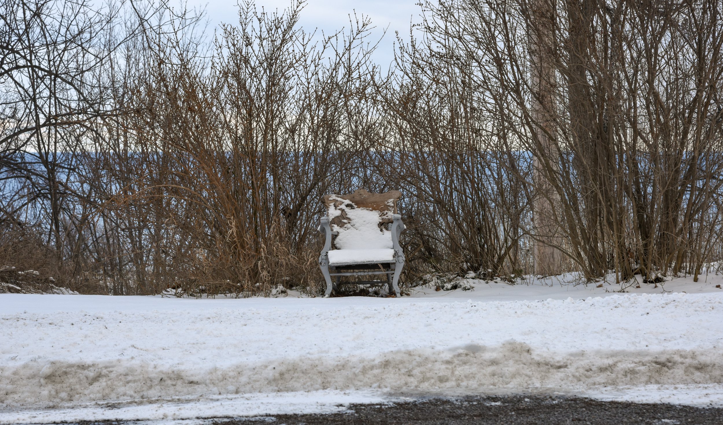 20170129-DSC_0161.jpg