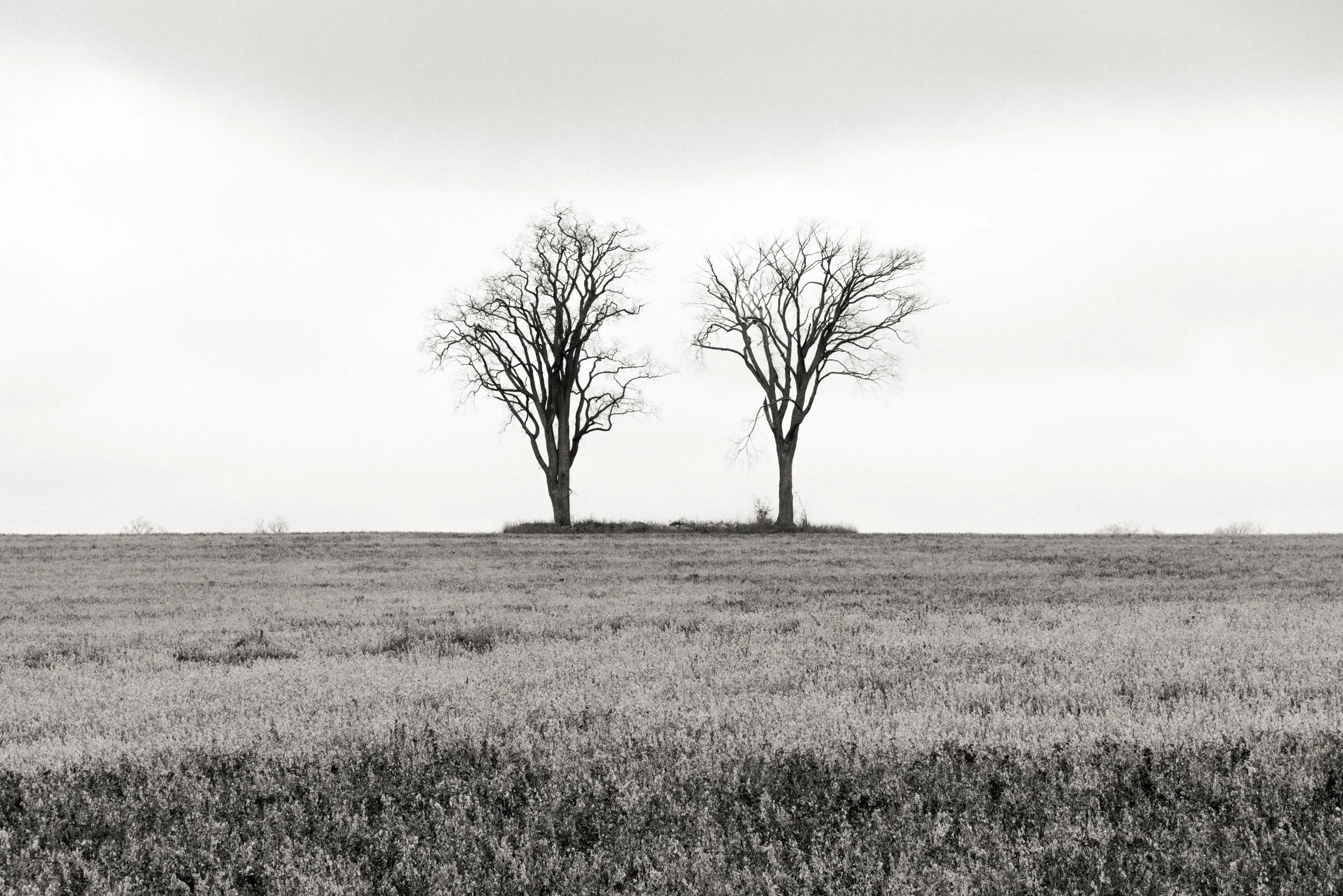20201113-_DSC7596.jpg