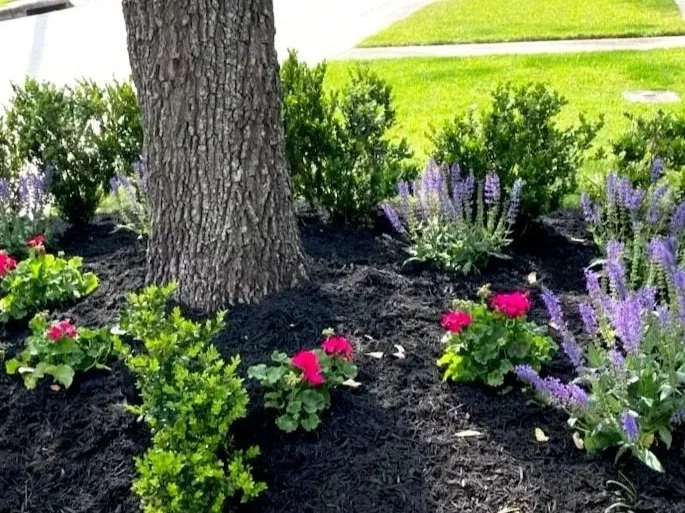 A landscaped garden bed with a tree trunk, colorful flowers including pink blooms, purple flowering plants, and green bushes, with a grassy lawn and sidewalk in the background.
