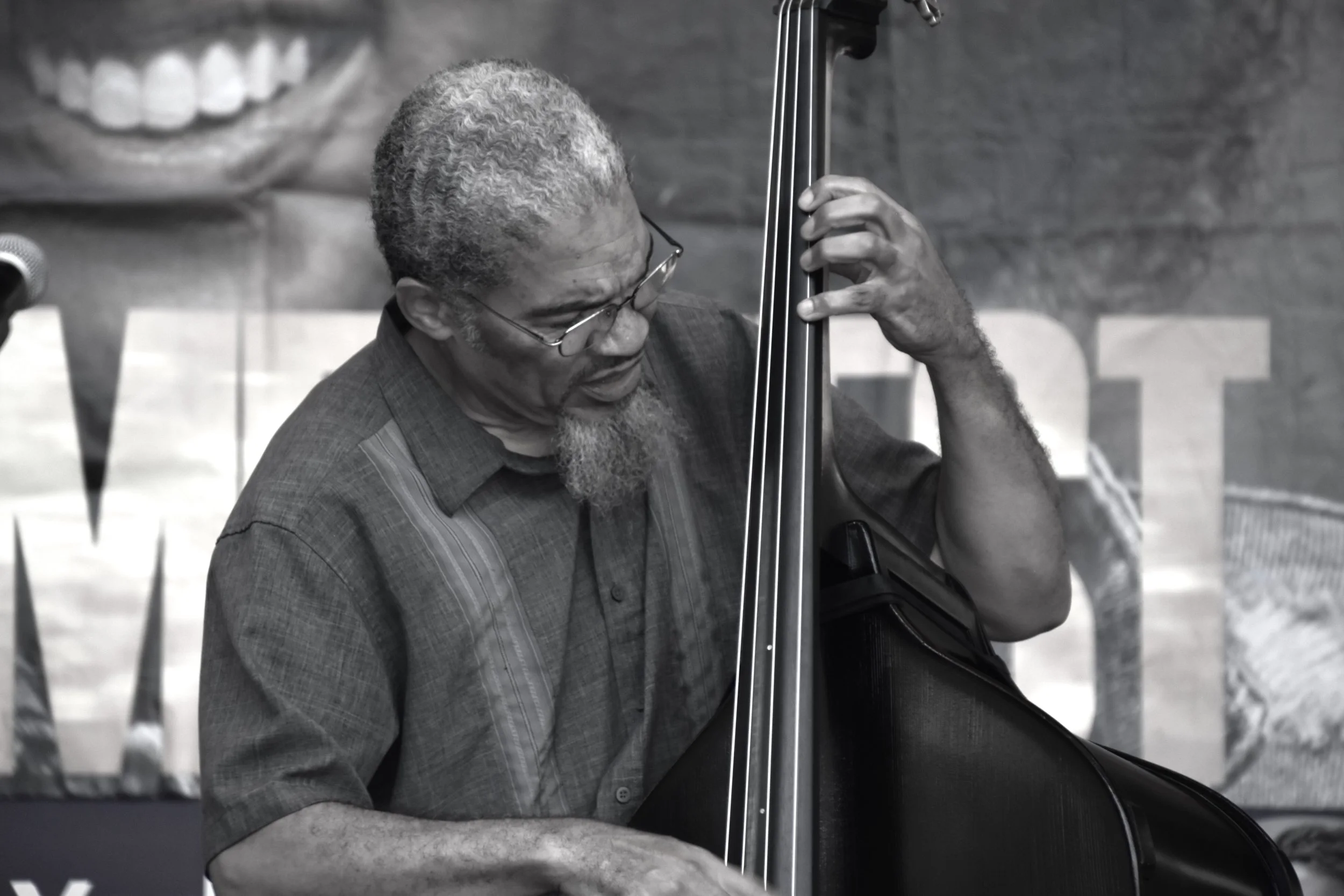 BASS PLAYER GALLERY.JPG