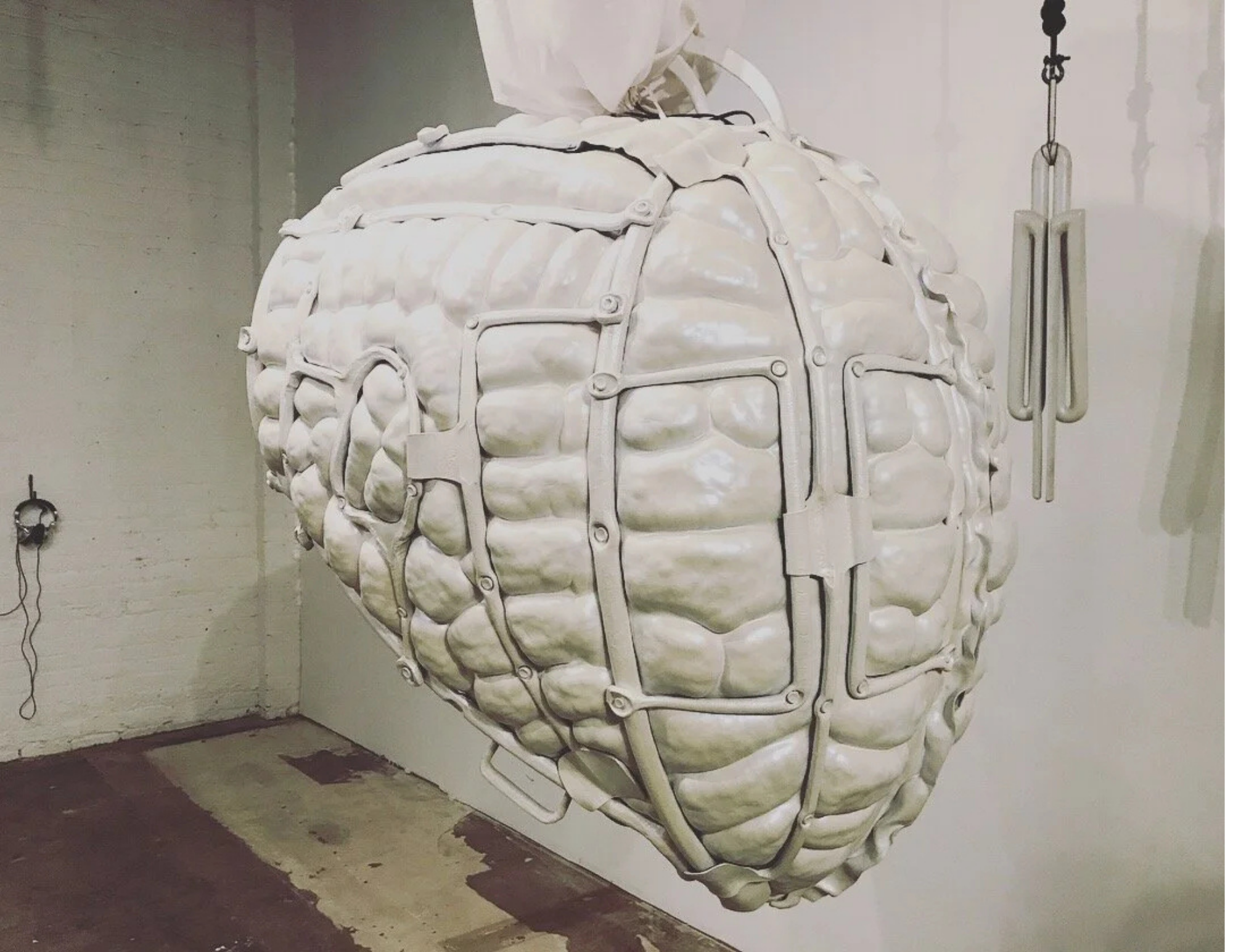 Convex Cradle