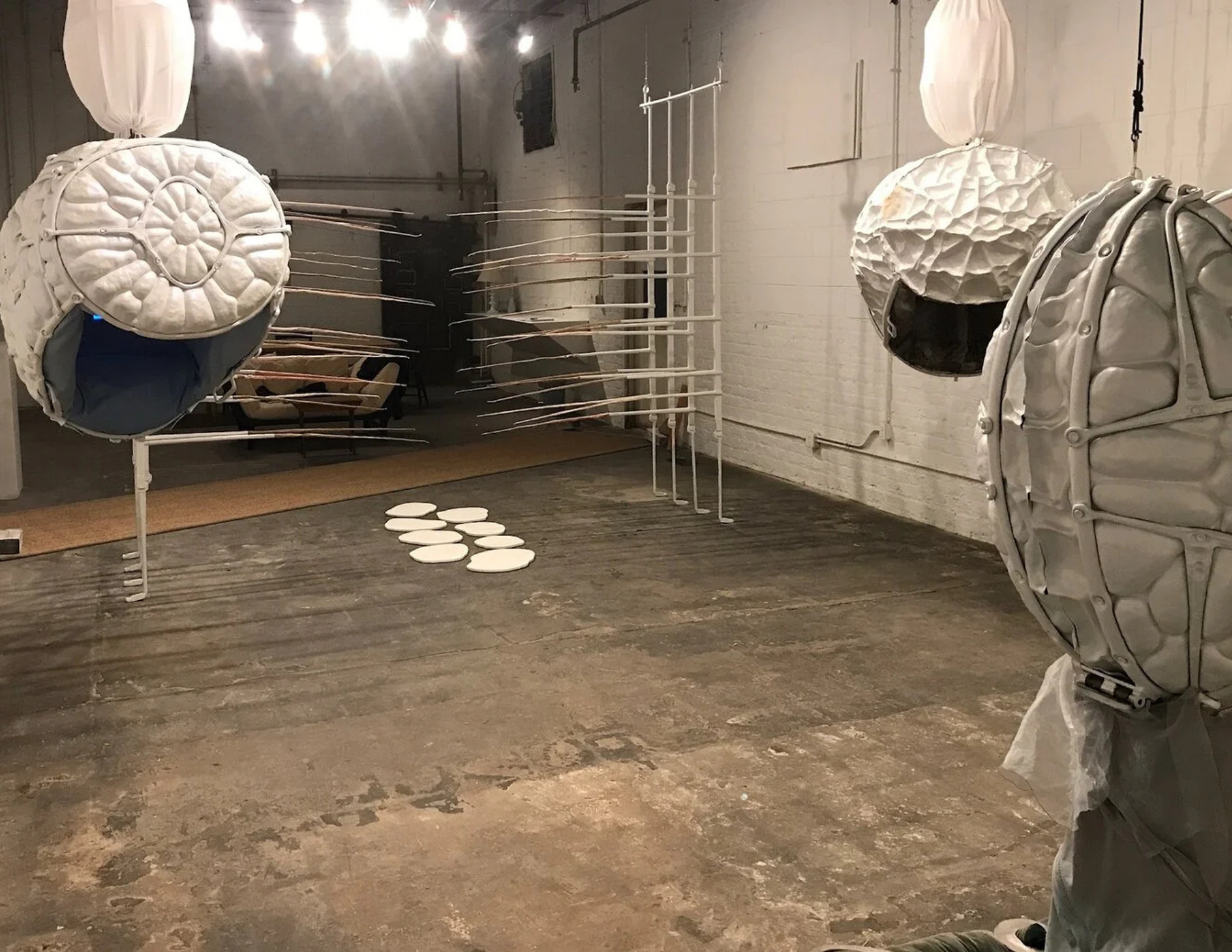 Closed Pod, from behind