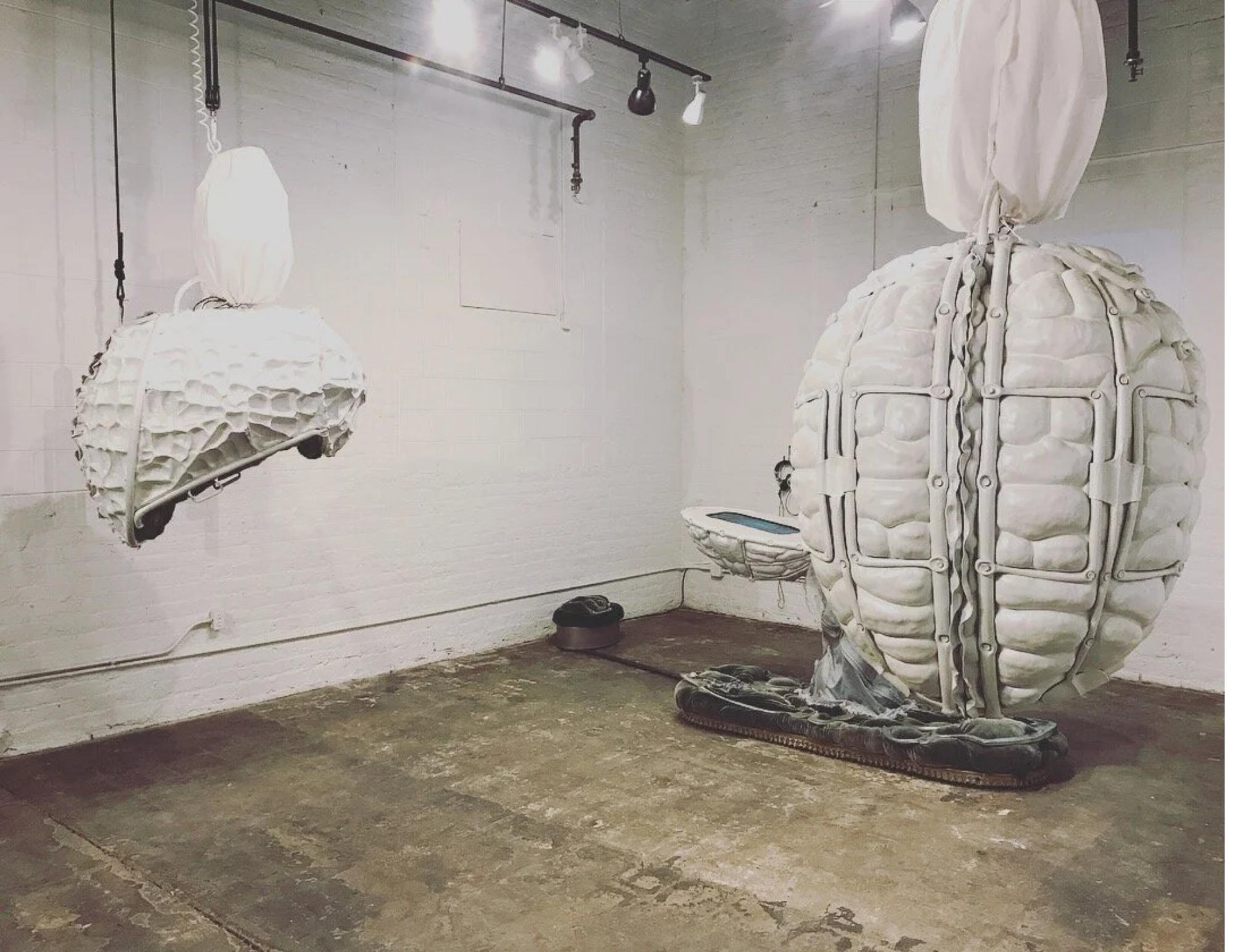 Cradles and Pod