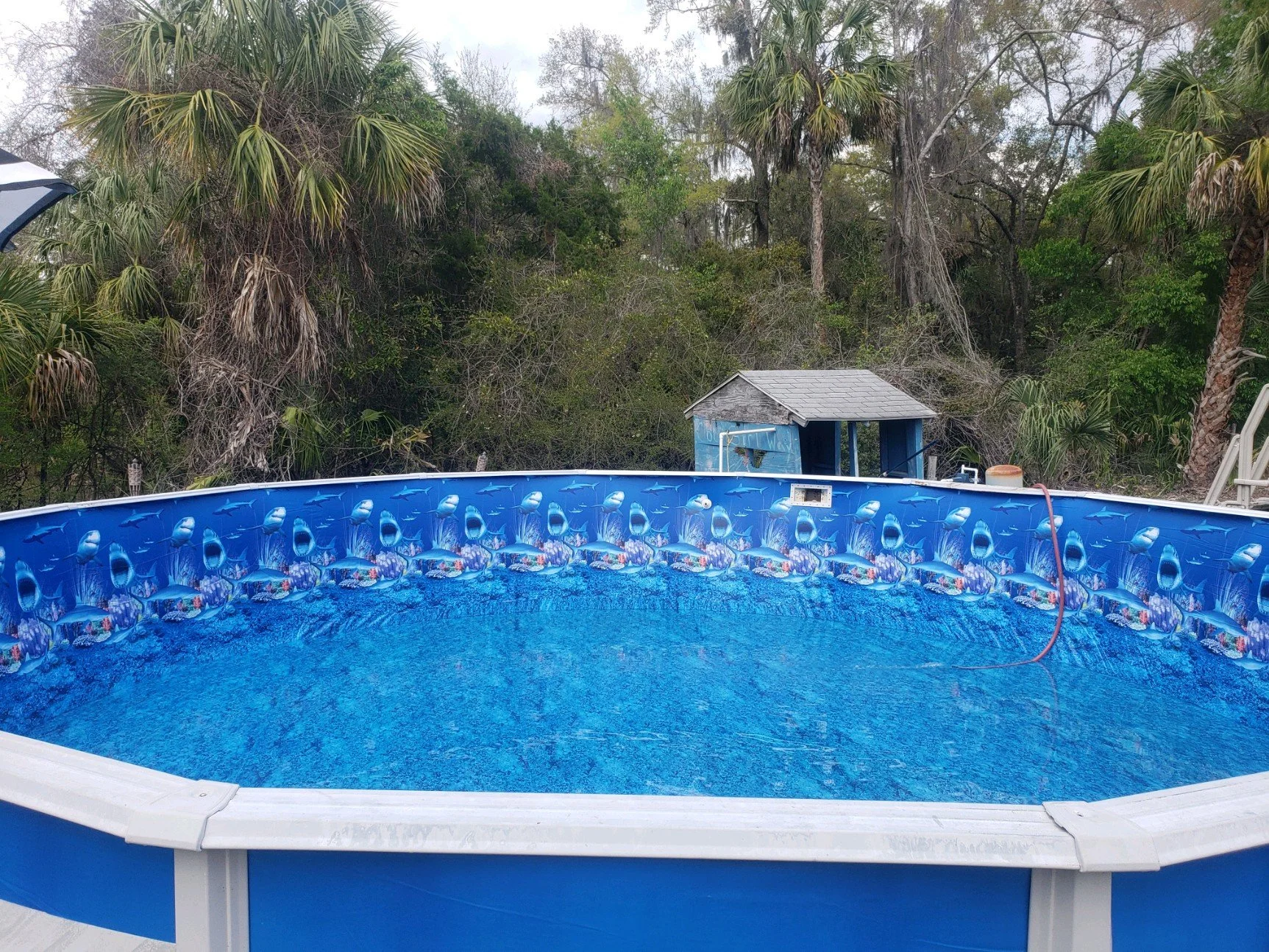 Completed above-ground swimming pool with blue liner and decorative exterior.