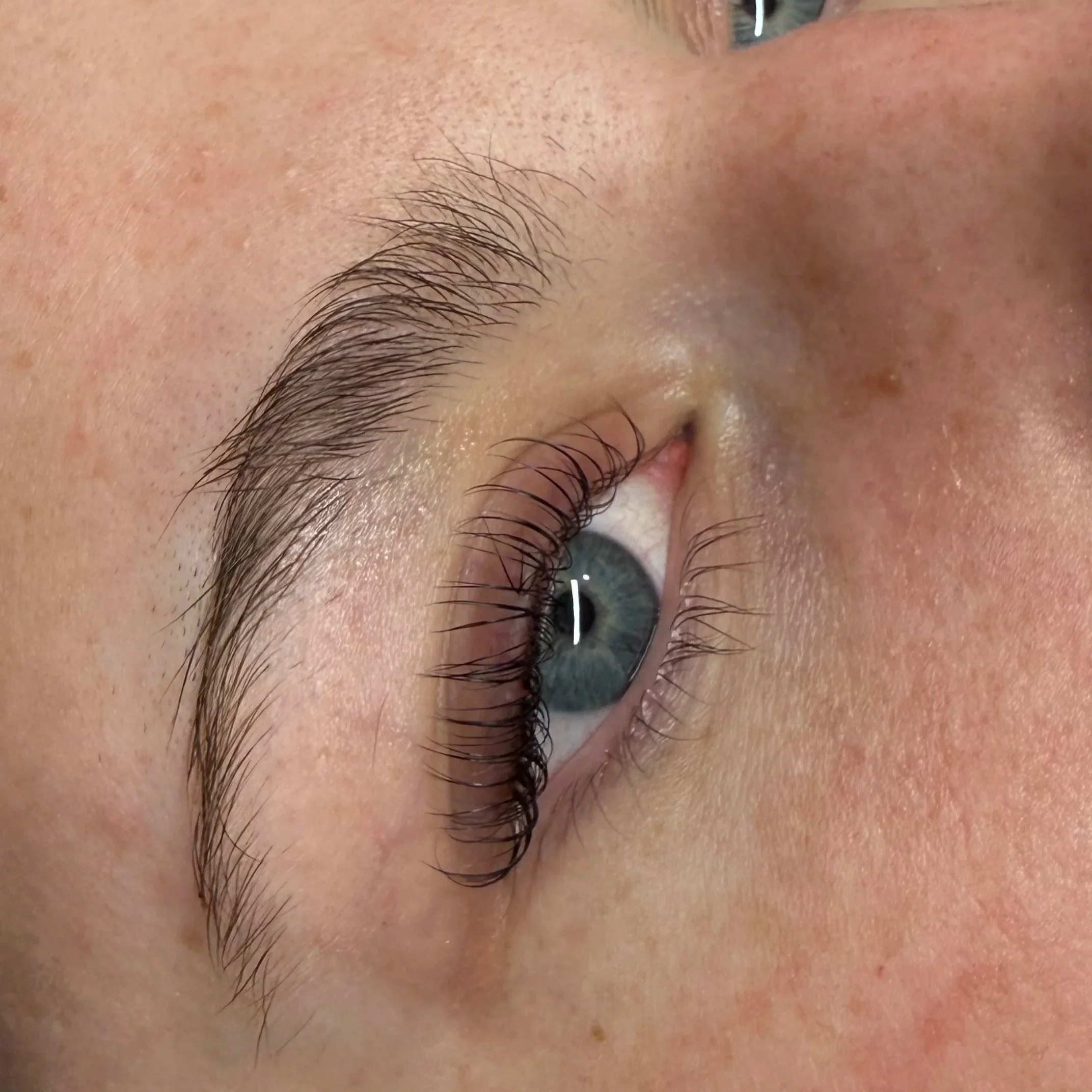 Close-up of a Korean lash lift in tint done by Velour Lash & Wax in Kirkland, WA.