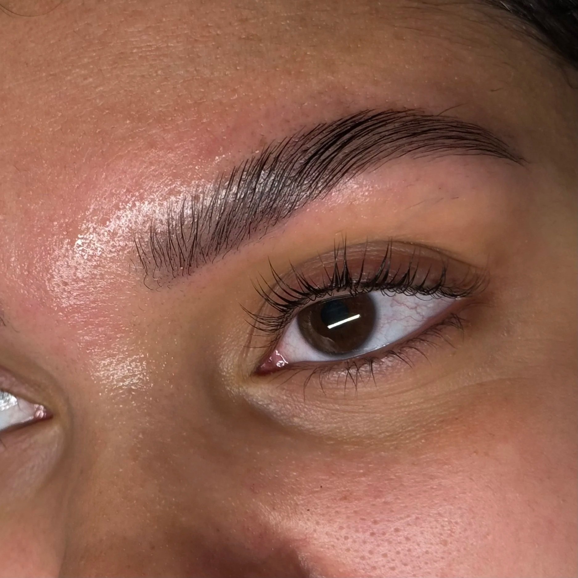 Close-up of Velour Lash & Wax's signature brow service. This photo shows a brow lamination, brow tint, and brow wax, as well as a Korean lash lift and tint done in Kirkland, WA.