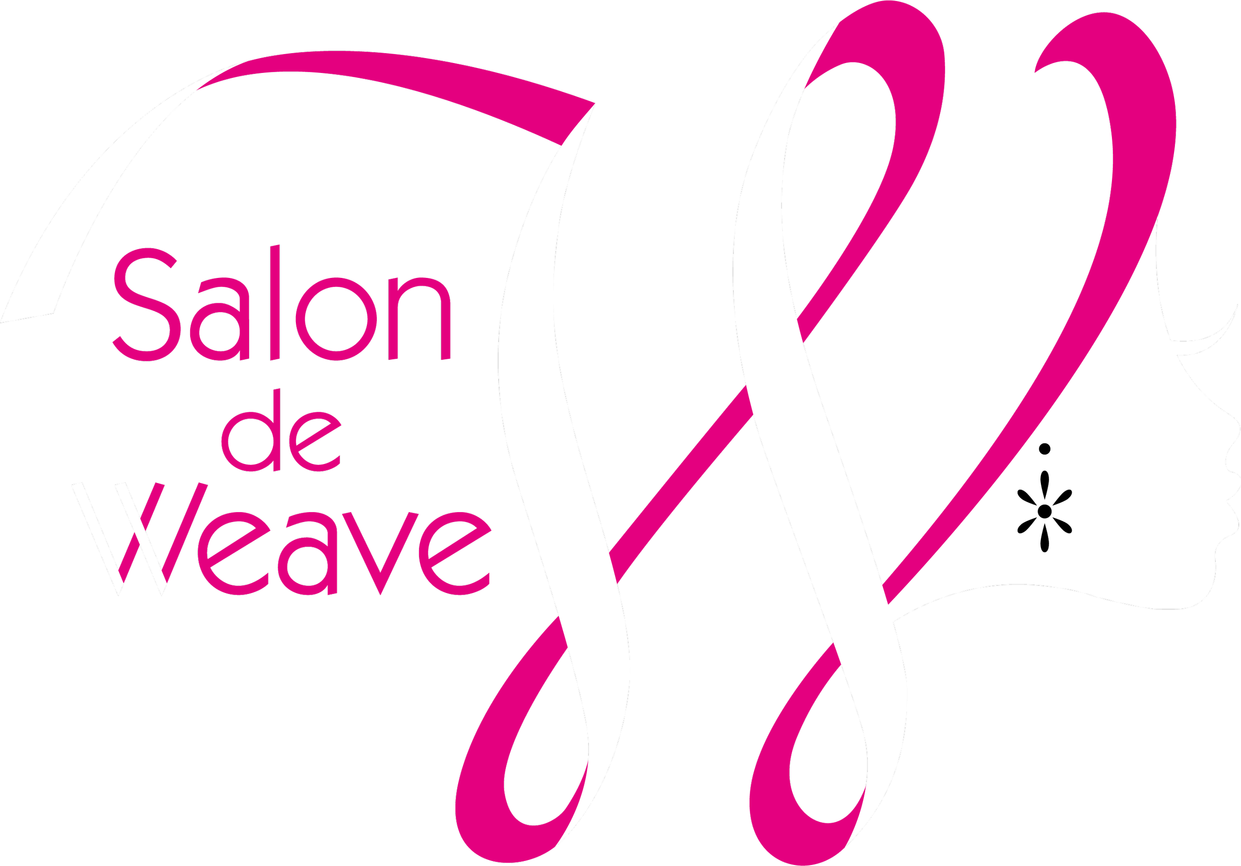 Pink and white stylized text reading 'Salon de la Wave' on a black background