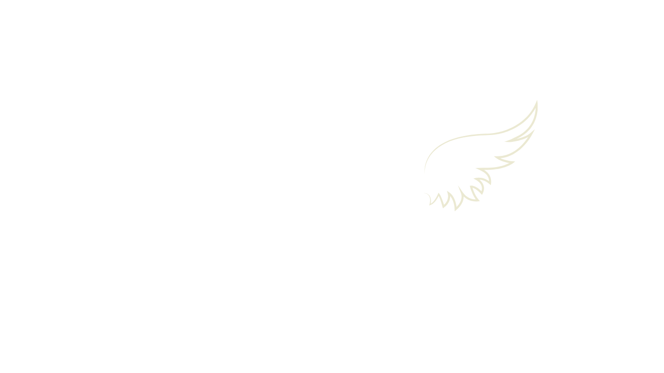 Silhouette of a woman with long hair and a feathered wing extending from her back, looking to the right.