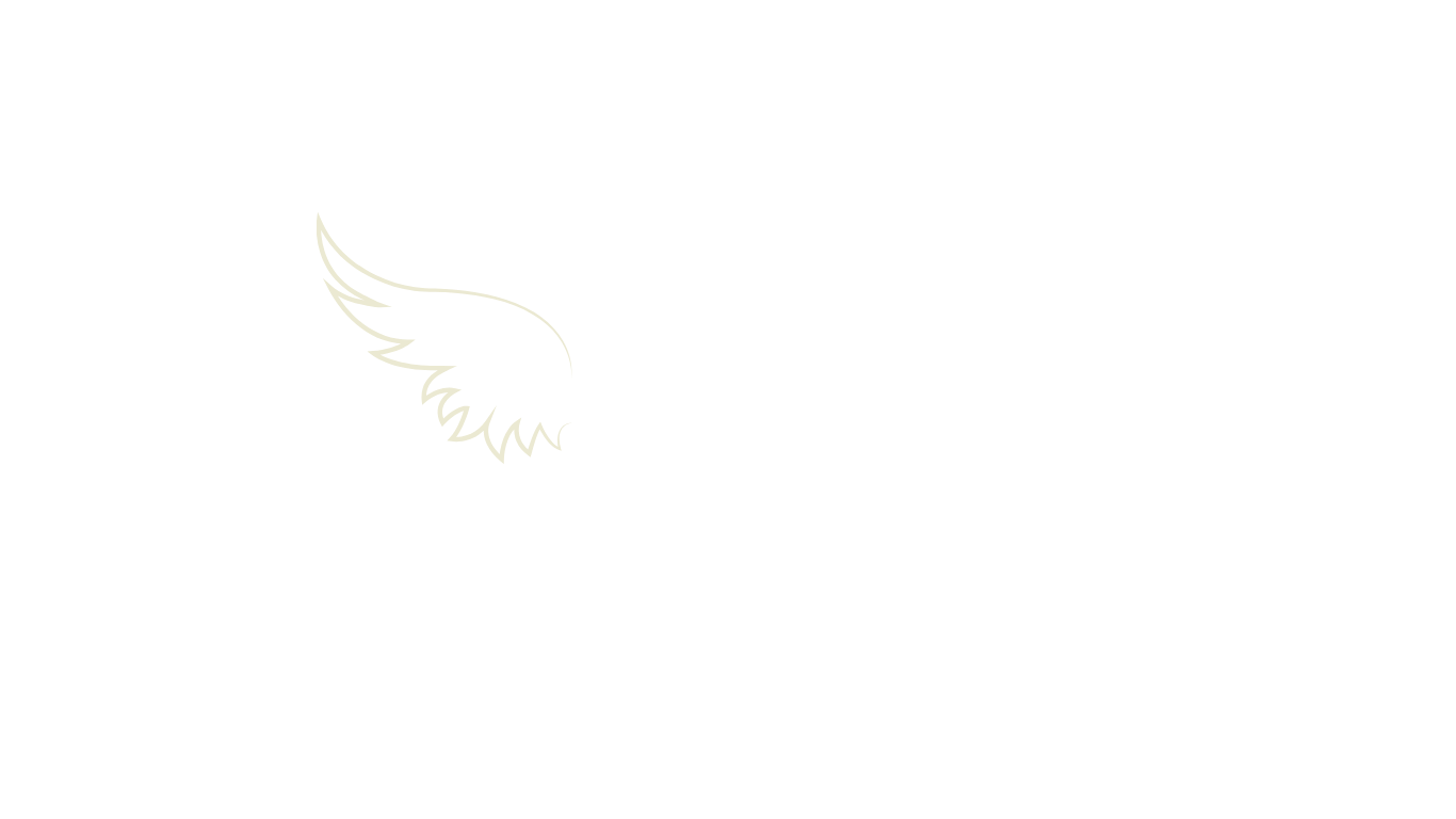 A black graphic with white outline of a wing and the text 'SLAY ALL DAY'.