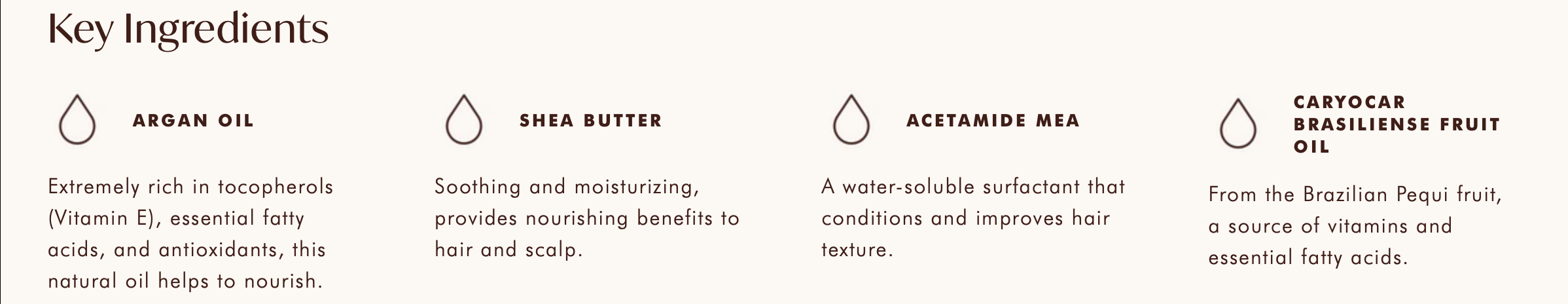 Key ingredients in the Moroccanoil Restorative Hair Mask protein repair treatment.