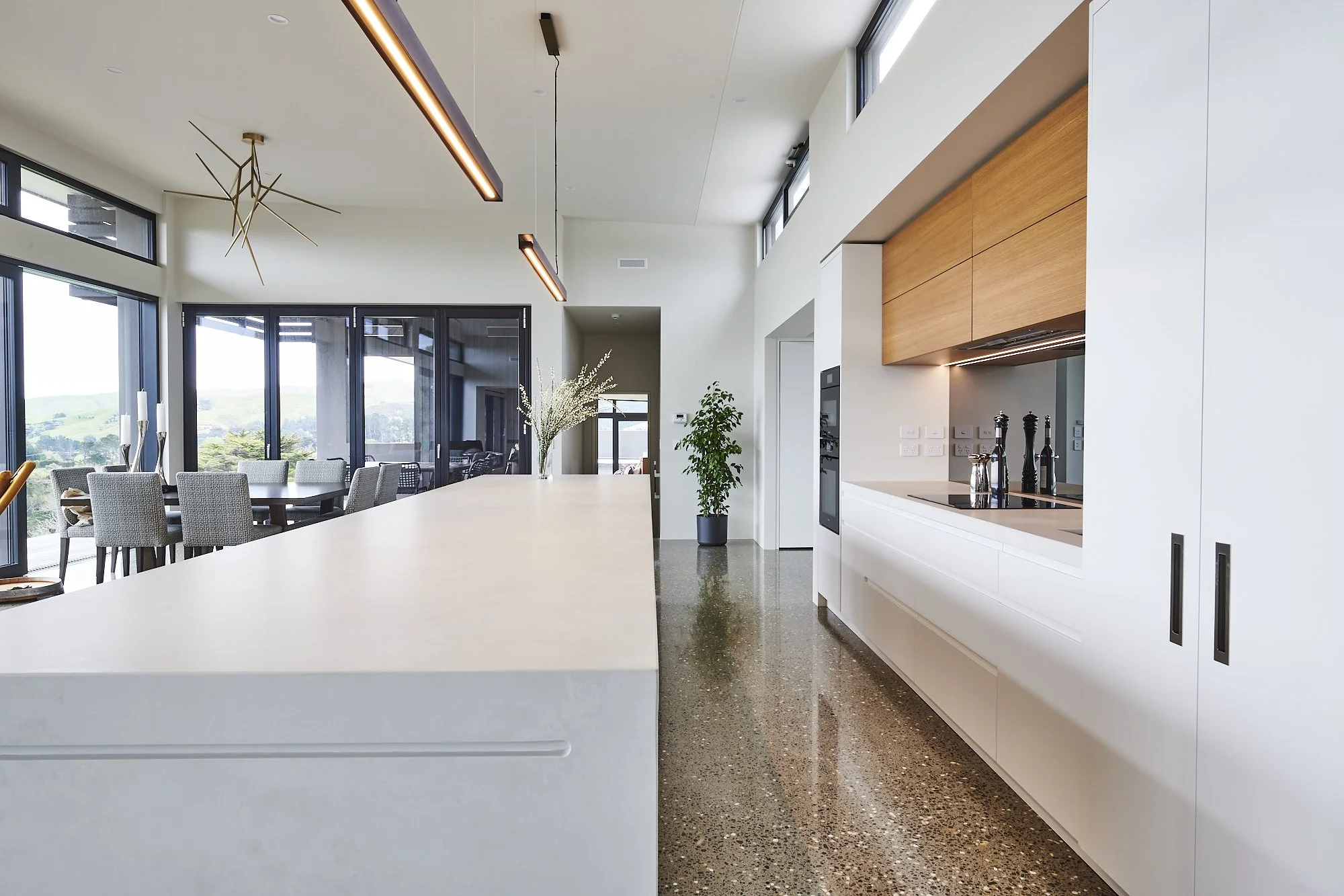 Paekakariki Project