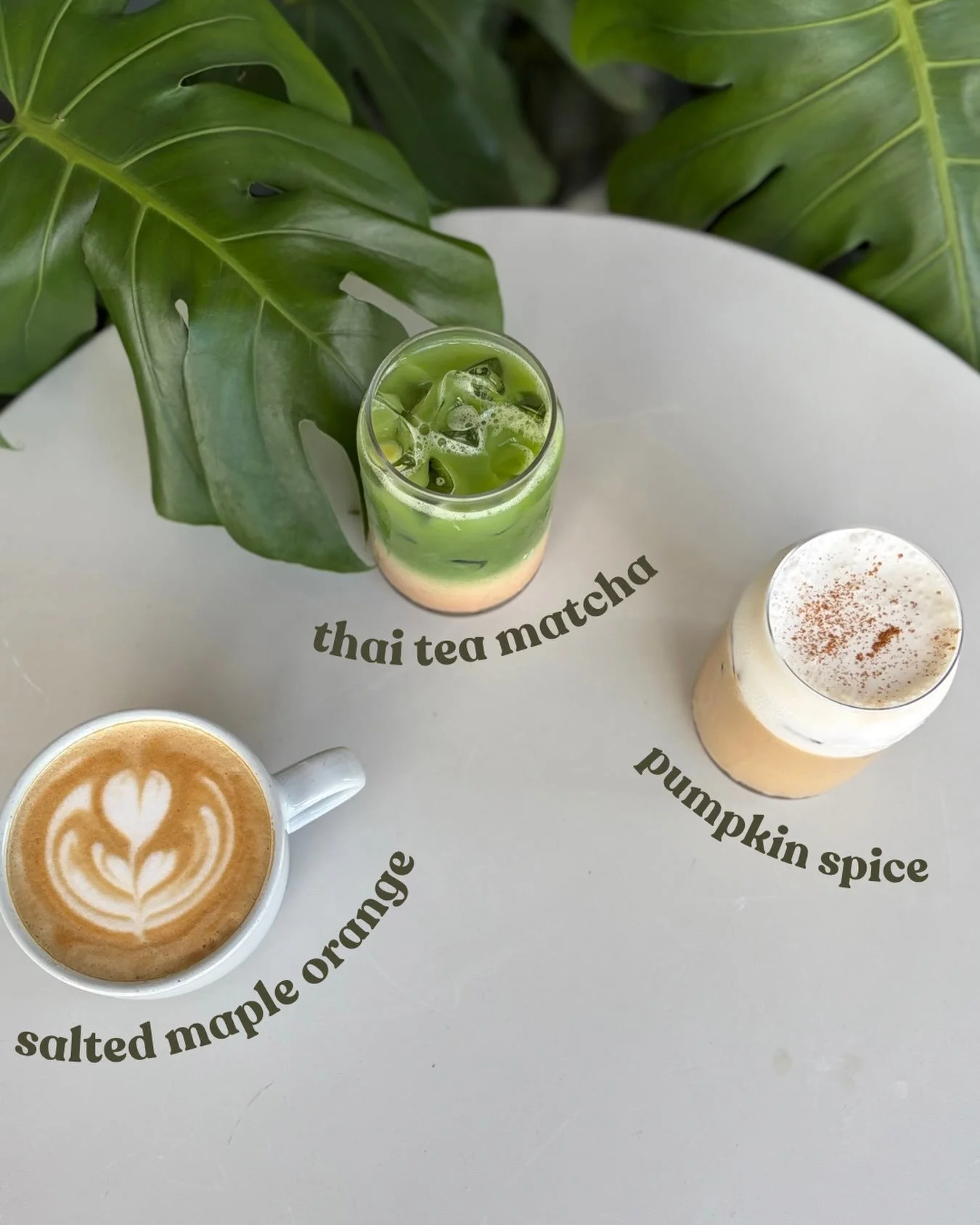 Cheers to the weekend! Come celebrate with some fall flavors! 🍁 🎃 🍂 

Open daily 7-4