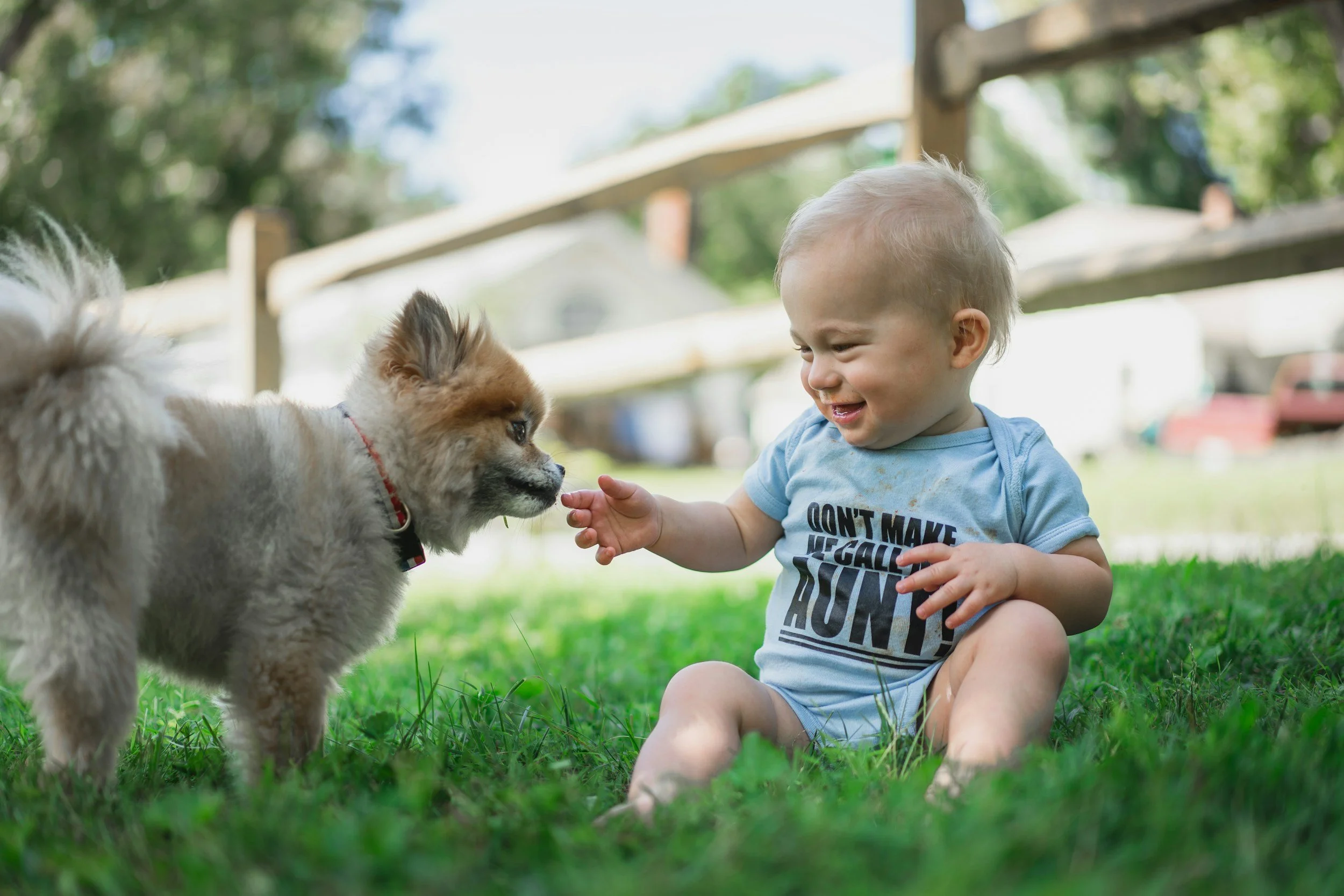 Preparing Your Pets for Baby's Arrival