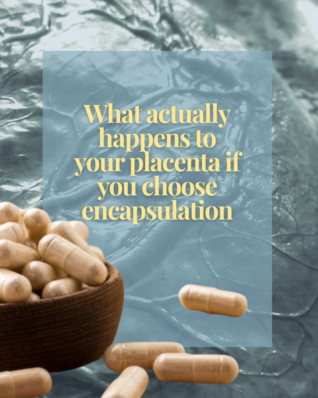 I have been doing placenta encapsulation for years.

The process starts with steaming, which is an old practice with roots in Traditional Chinese Medicine. After steaming, your placenta gets dehydrated low and slow until all the moisture is gone. The