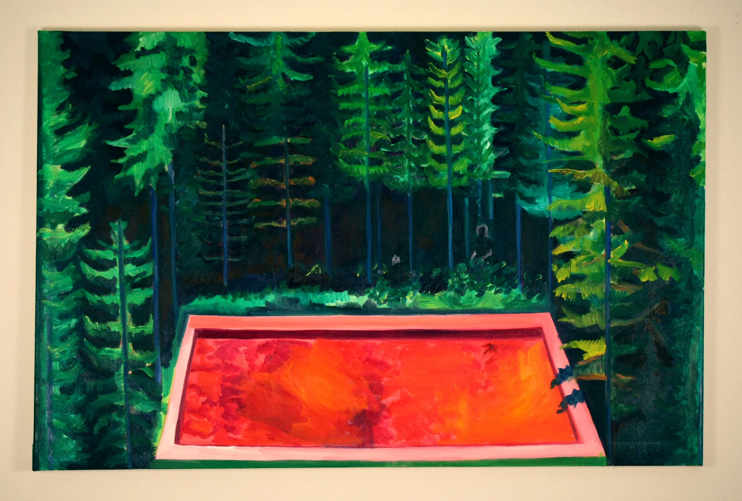 Pool, 2013, Oil on canvas, 28 x 48 inches