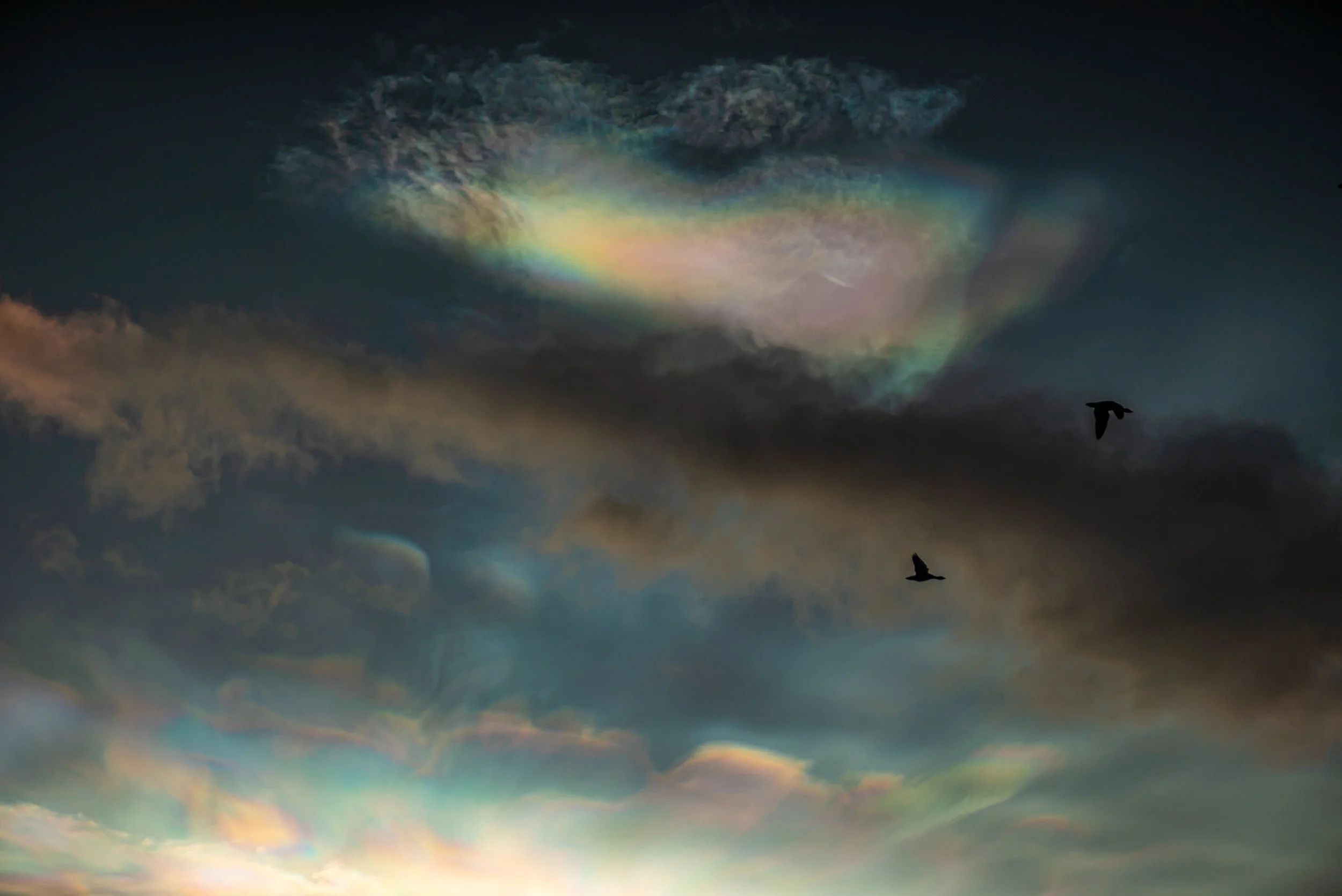 Gesse flying Nacreous clouds.jpg