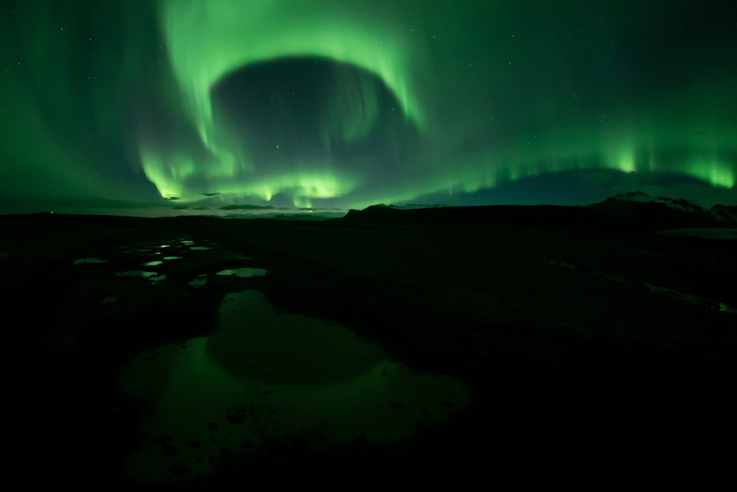 aurora puddle curl.jpg