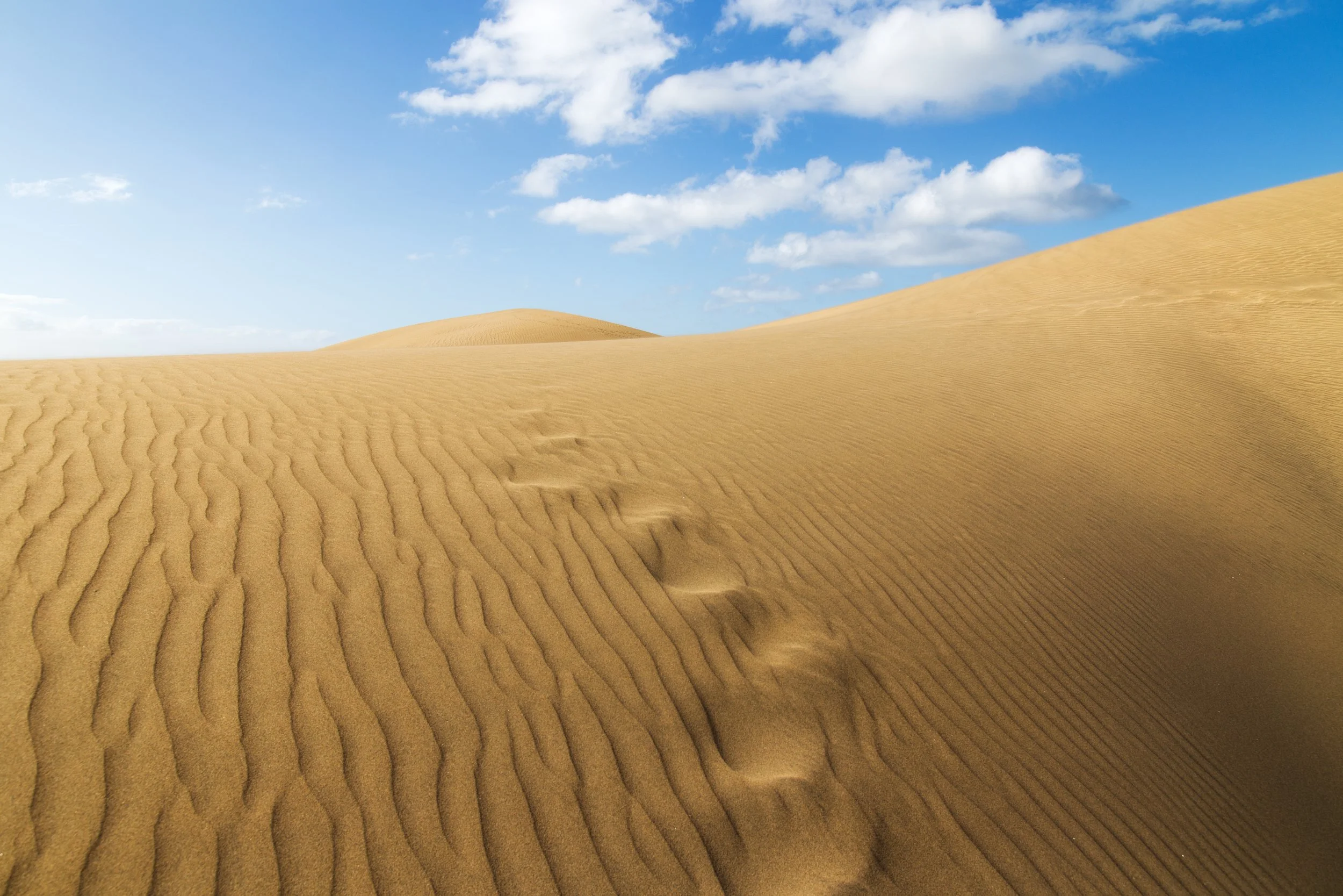 Footprints-through-the-desert.jpg