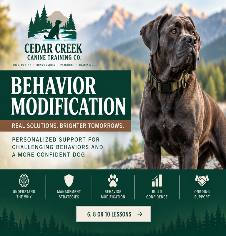 Behavior Modifications