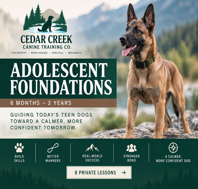 Adolescent Foundations