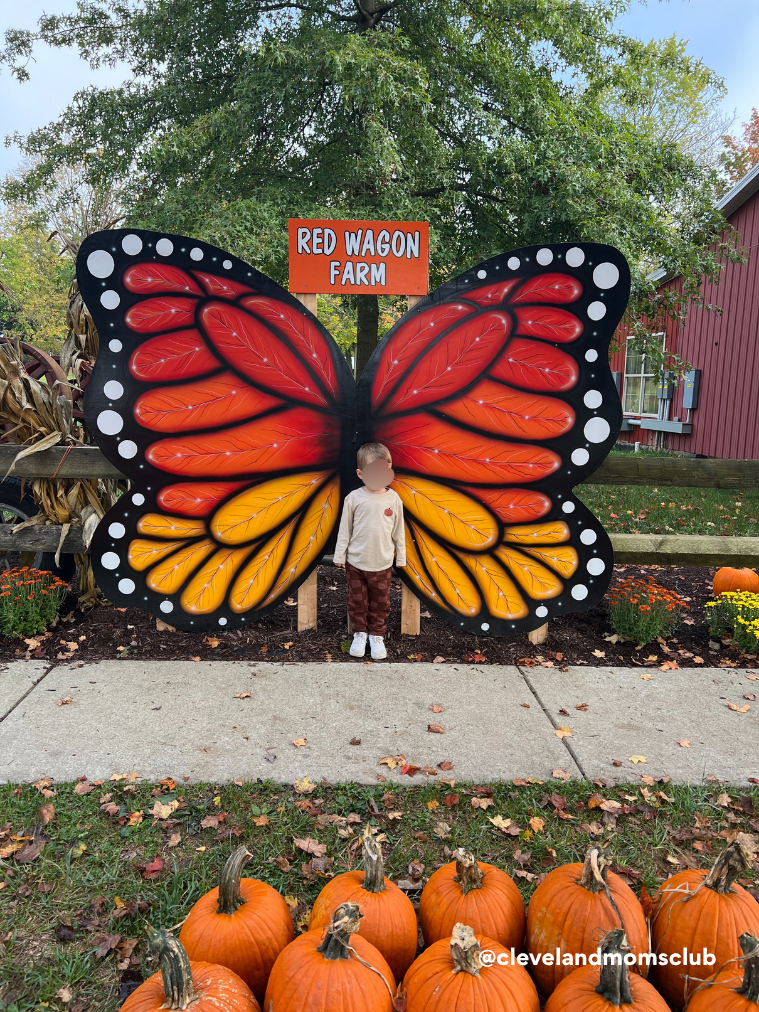 Child standing in front of a butterfly cutout at Red Wagon Farm, surrounded by pumpkins and fall flowers.